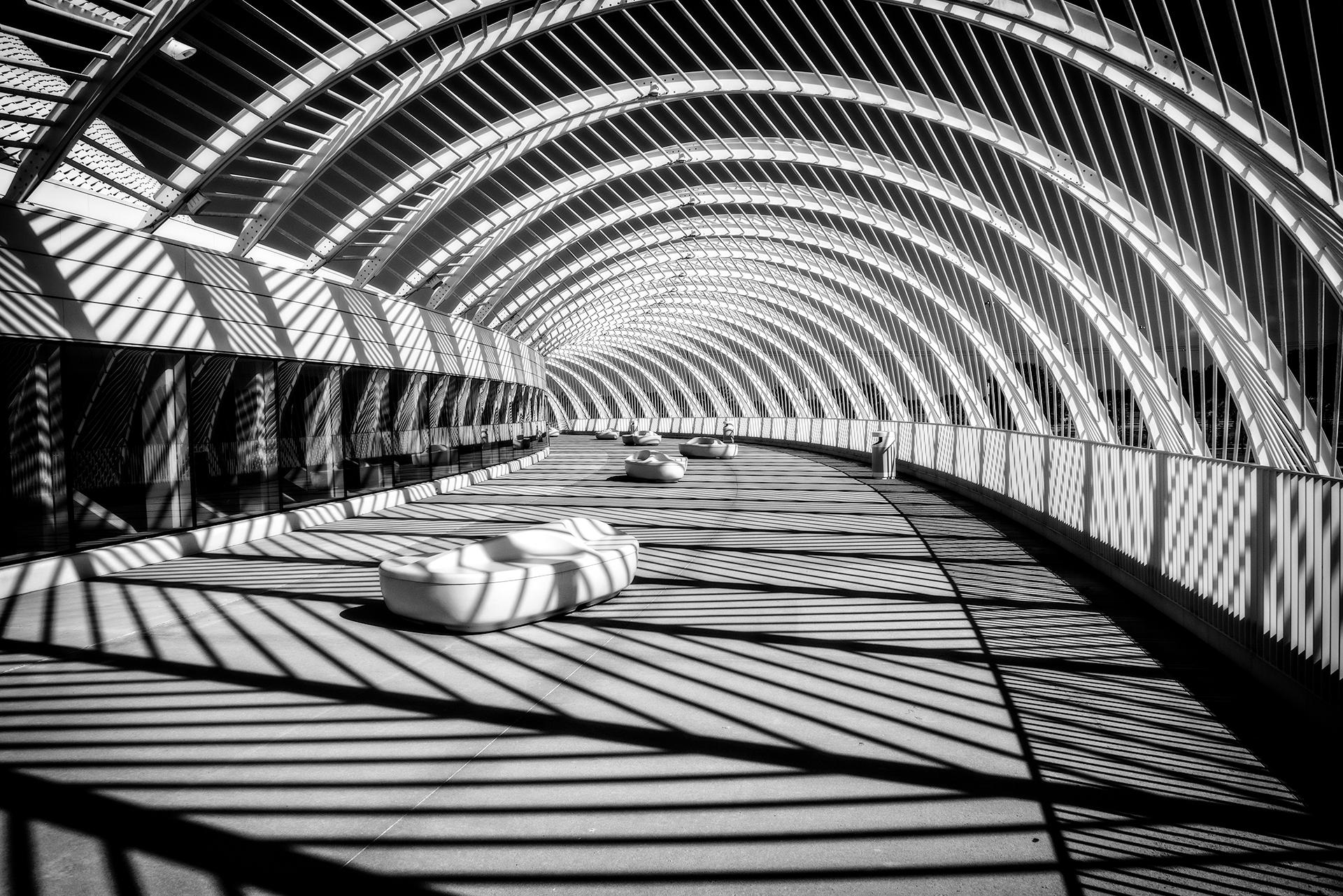 New York Photography Awards Winner - Shadows