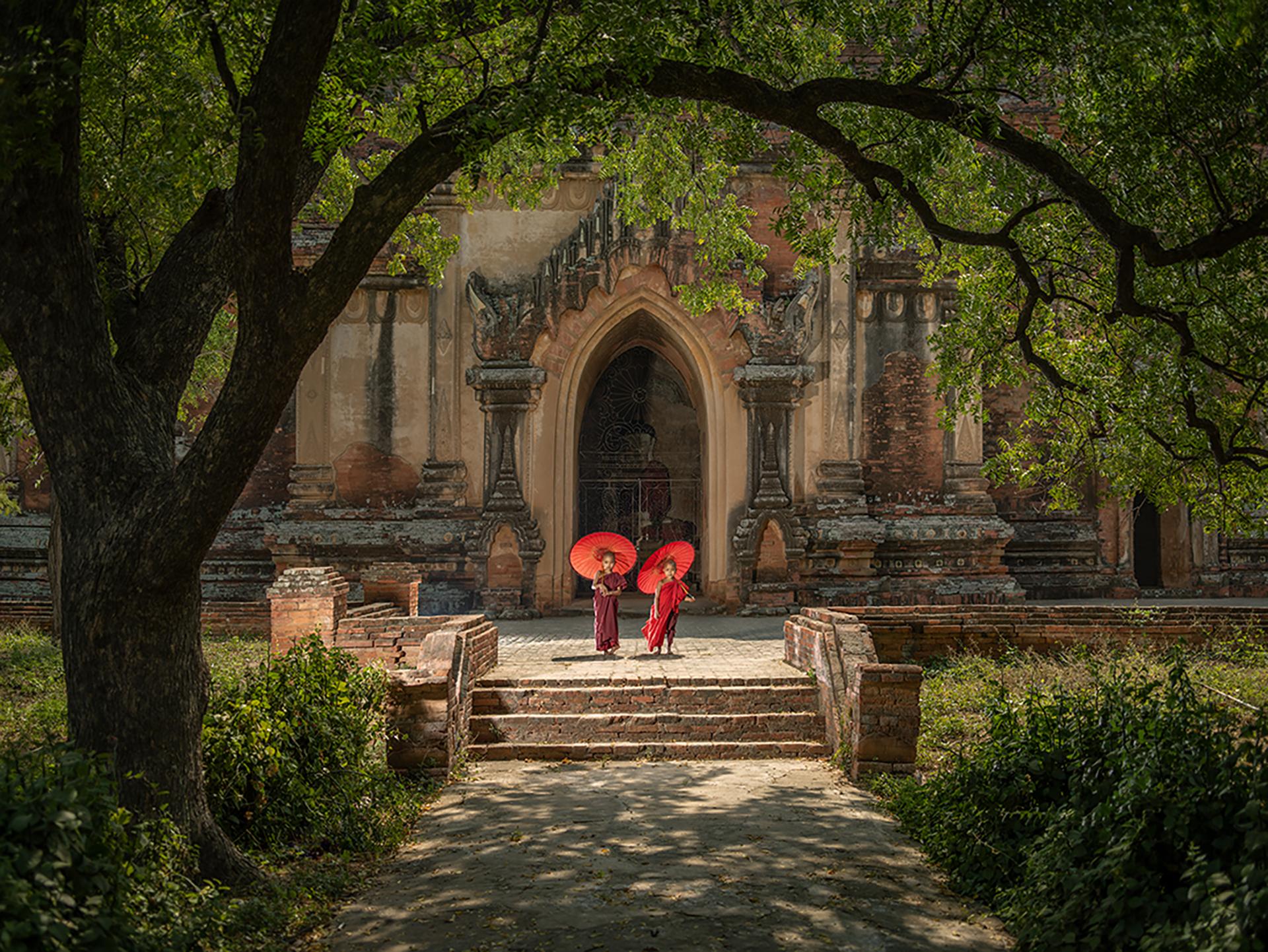 New York Photography Awards Winner - The Two Novices