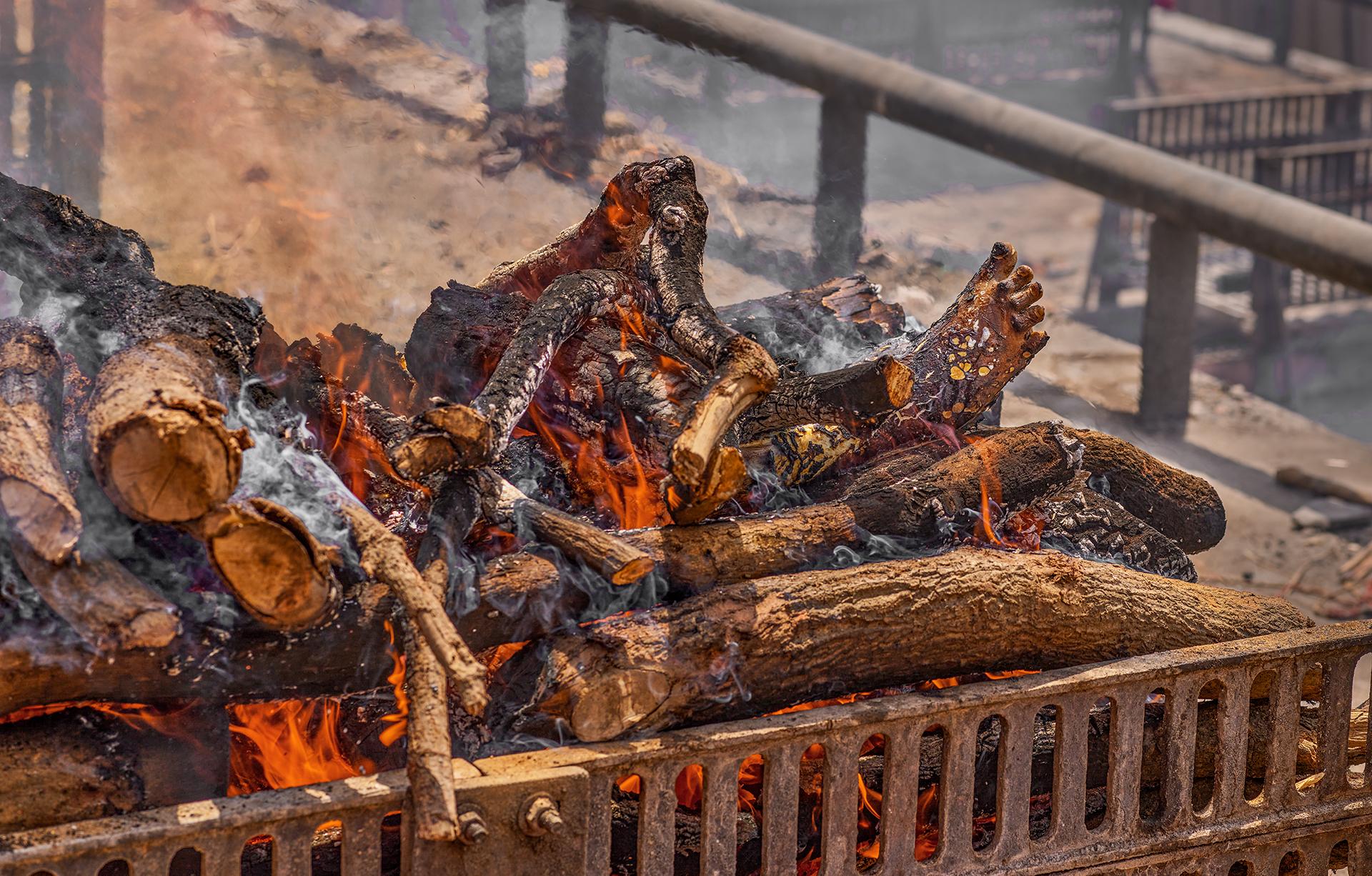New York Photography Awards Winner - 