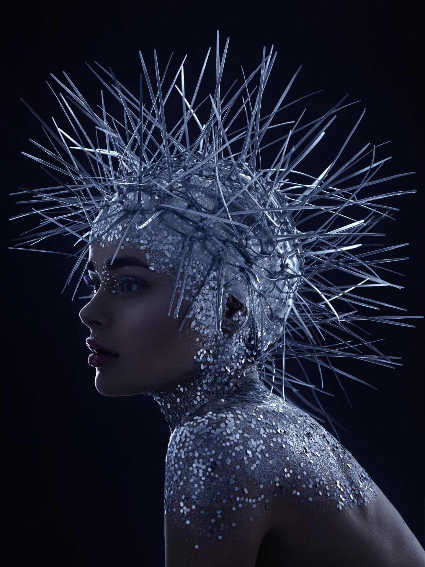 New York Photography Awards Winner - Hedgehog