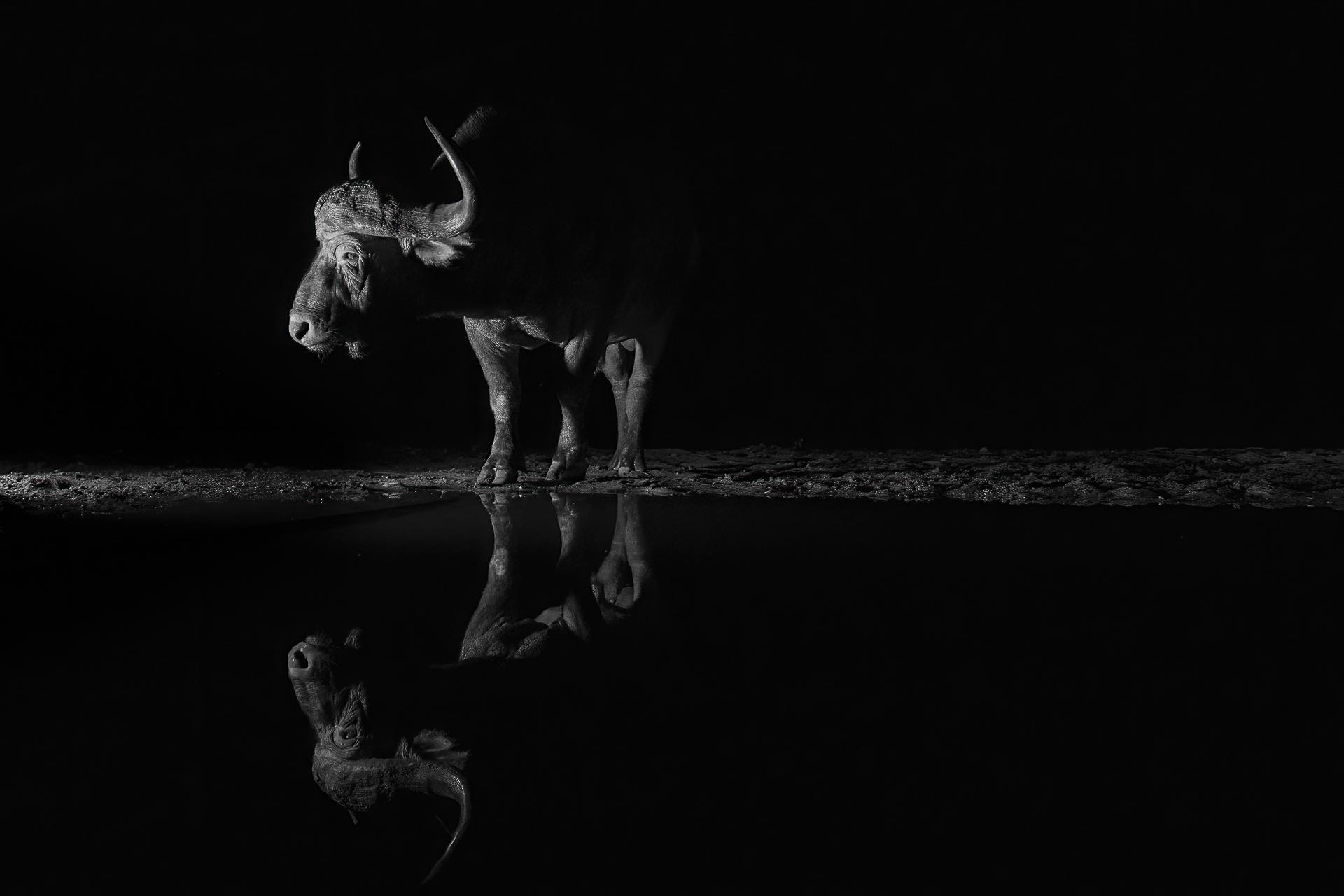 New York Photography Awards Winner - Nightlife