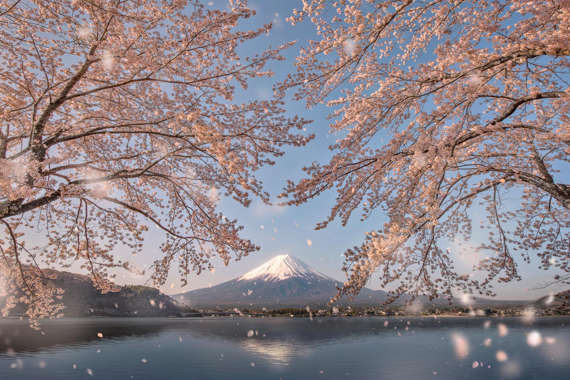 New York Photography Awards Winner - Memoirs of Japan