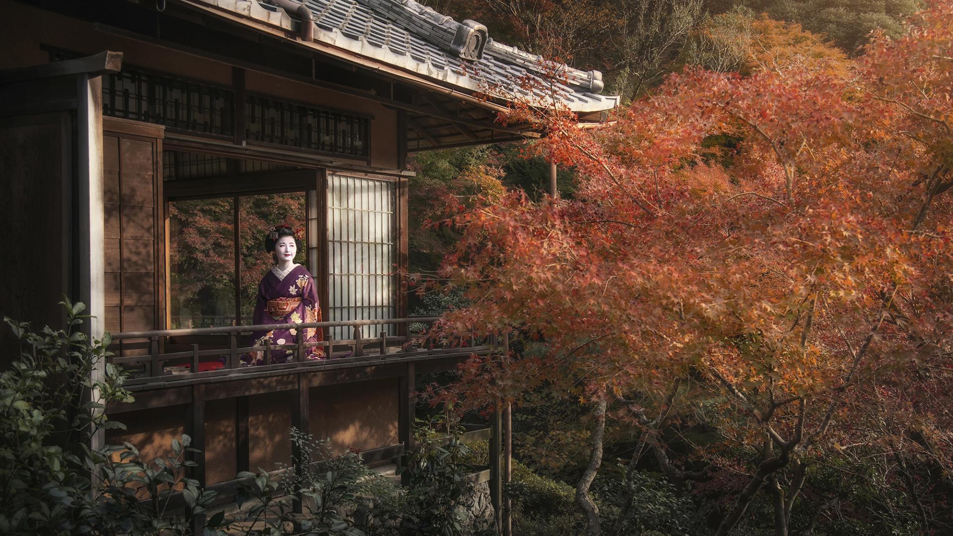 New York Photography Awards Winner - Memoirs of Japan