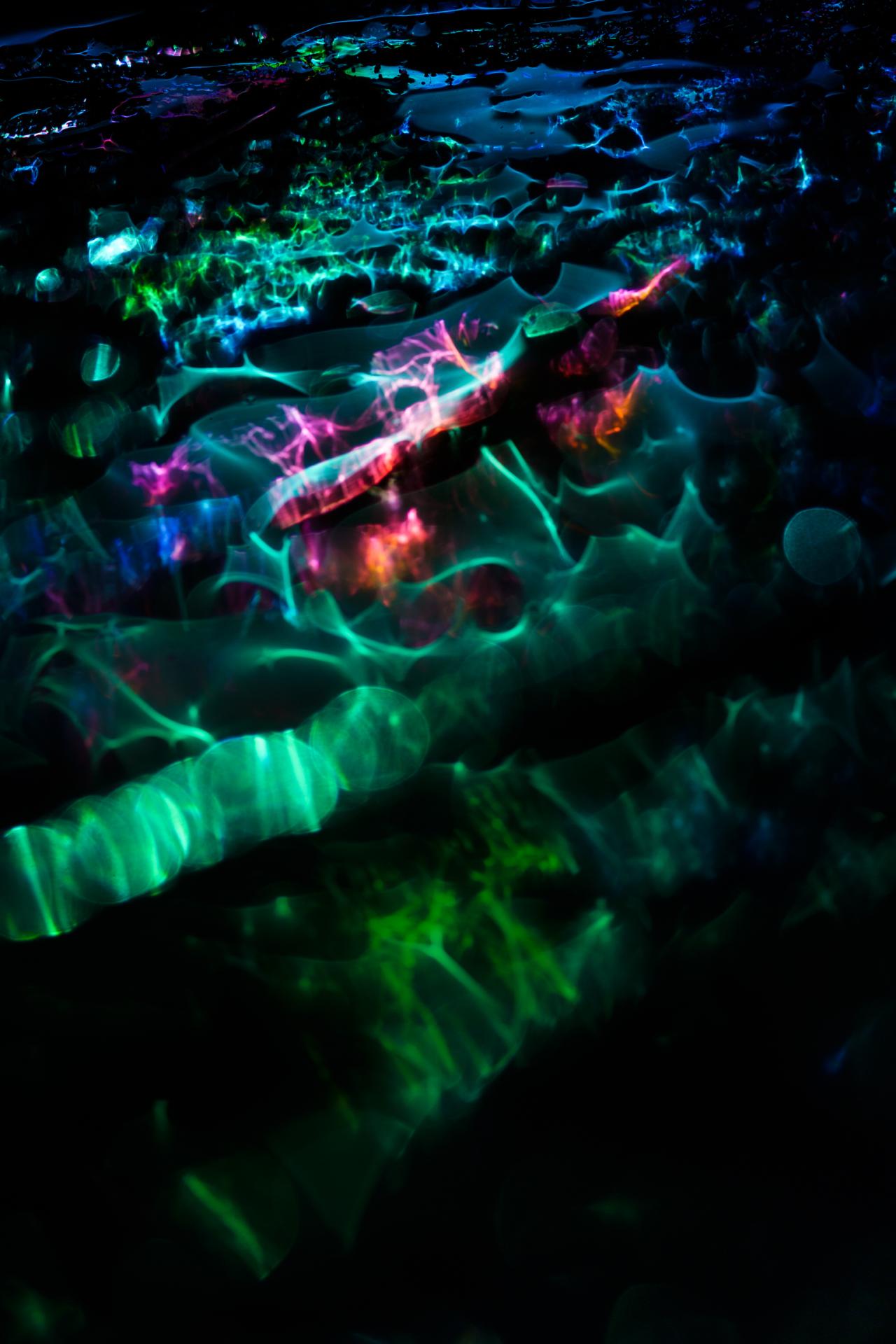 New York Photography Awards Winner - Mischief of the light spirits