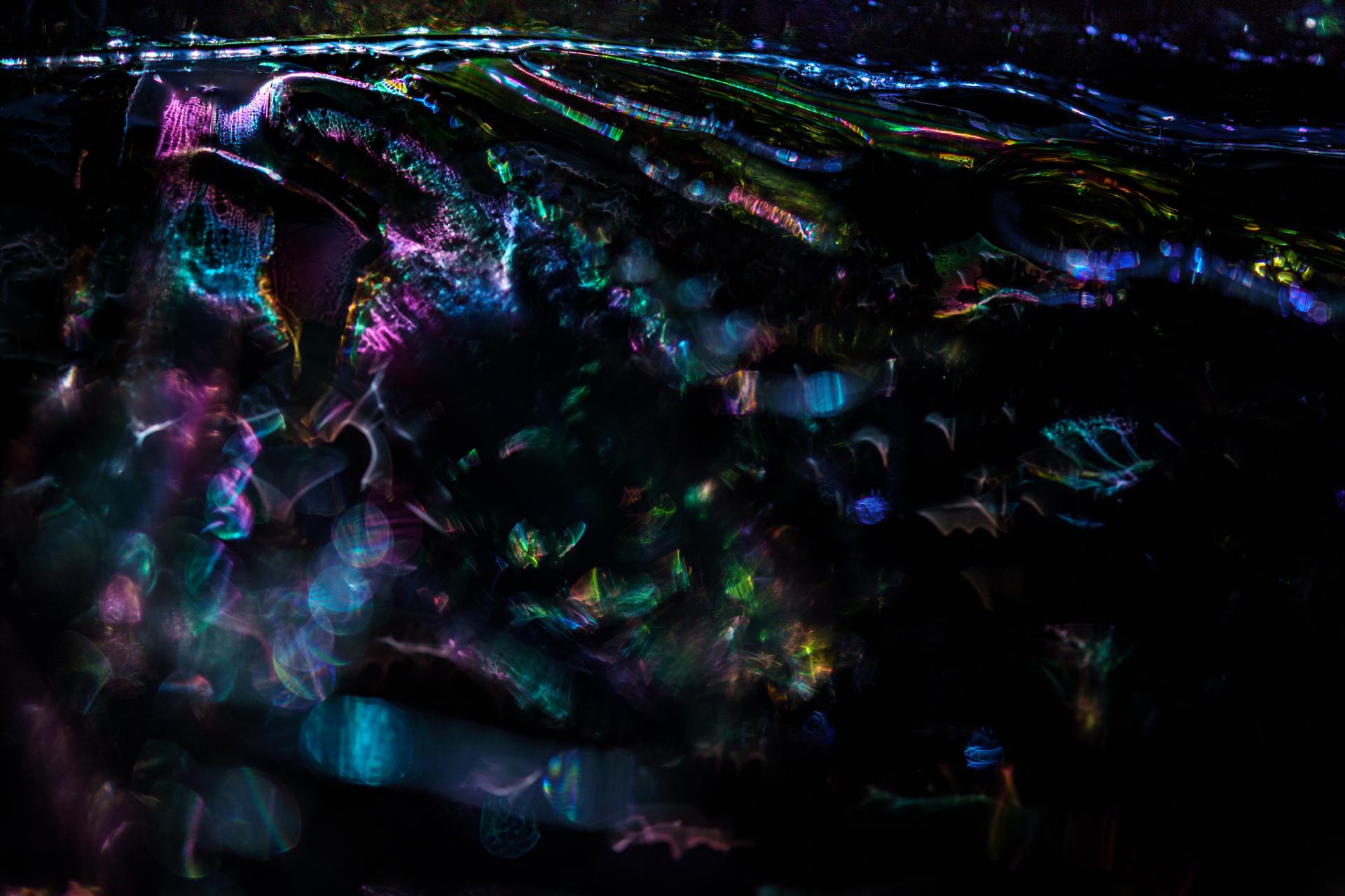 New York Photography Awards Winner - Mischief of the light spirits