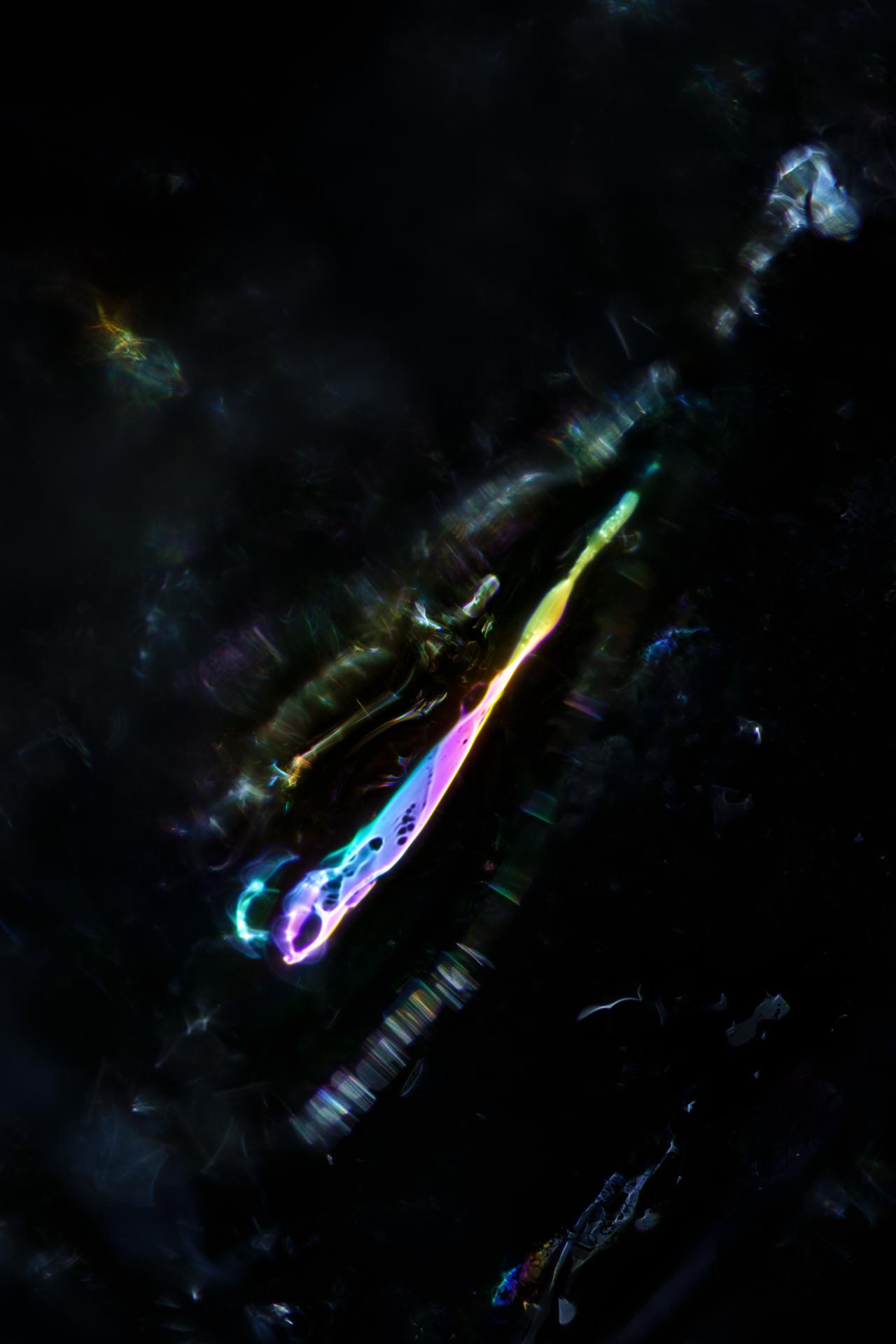 New York Photography Awards Winner - Mischief of the light spirits