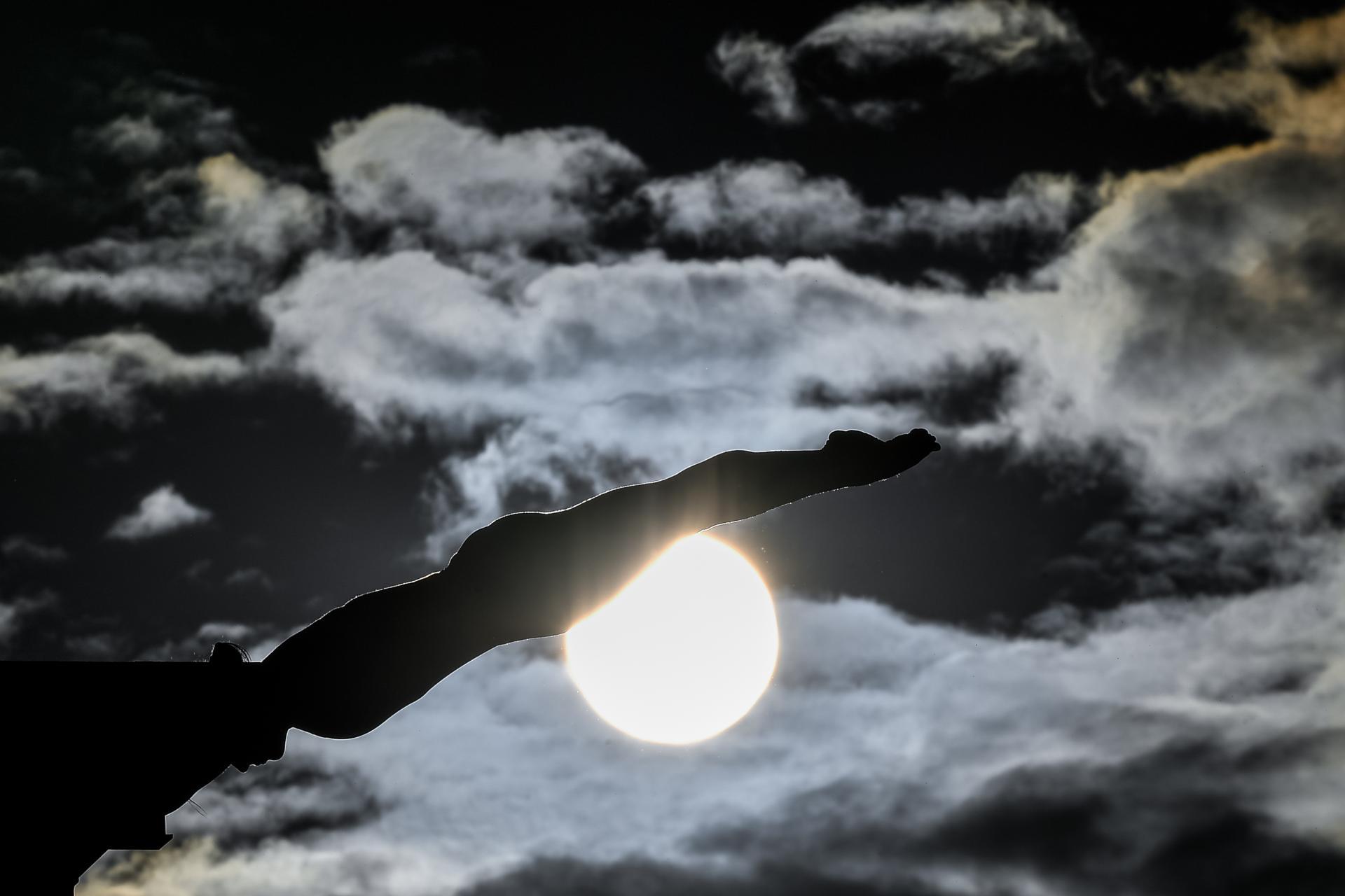 New York Photography Awards Winner - High Diving