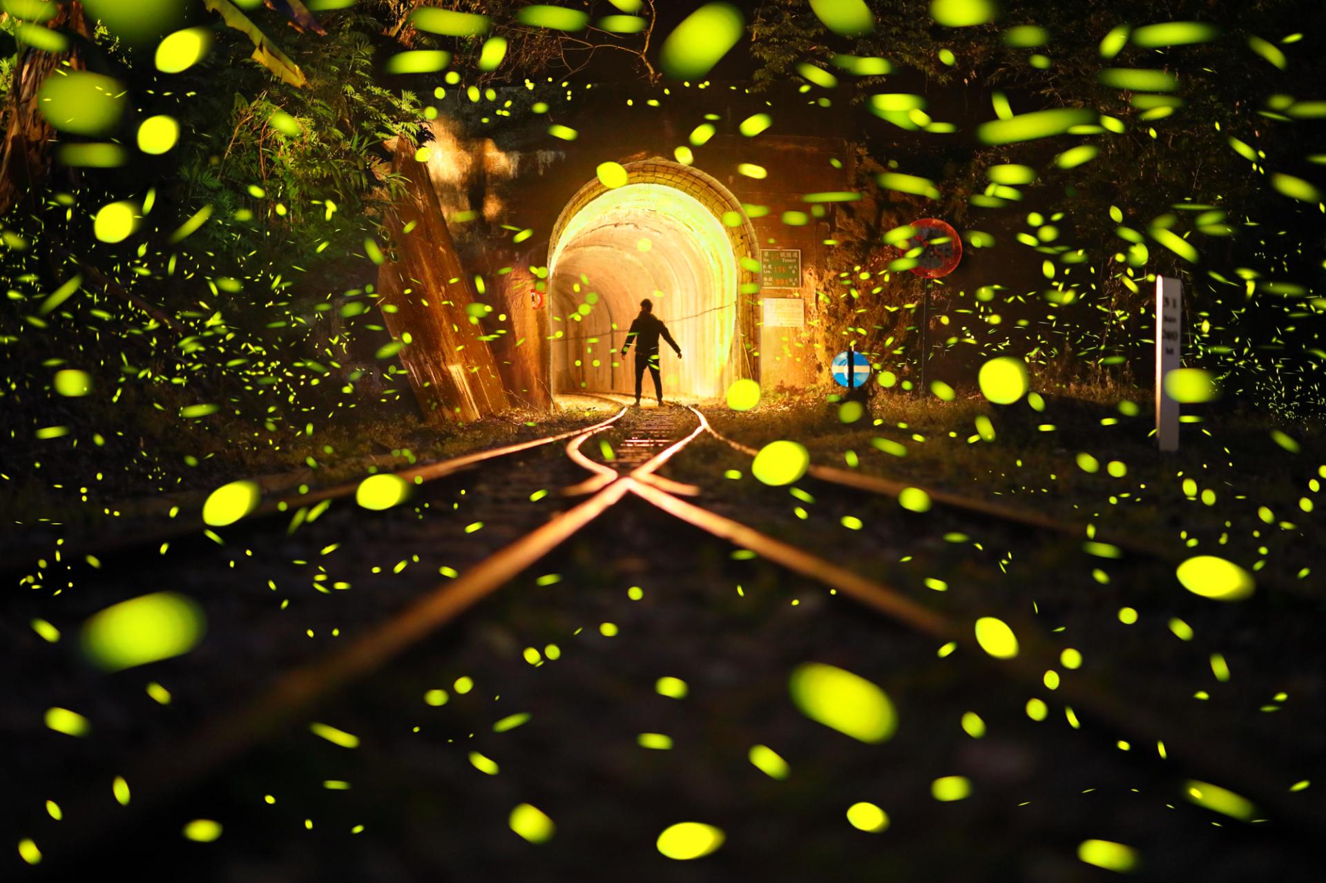 New York Photography Awards Winner - Travel with Fireflies