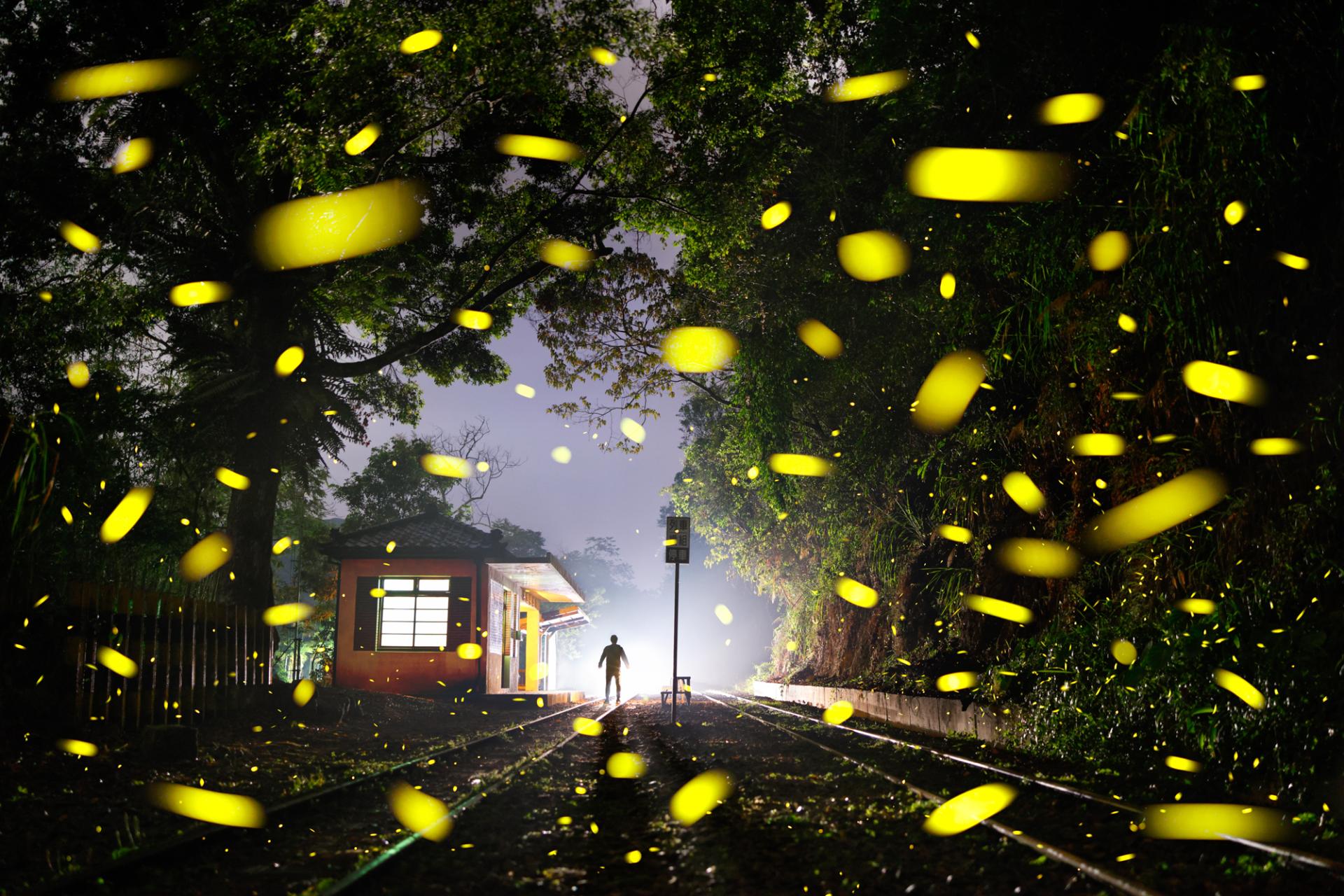 New York Photography Awards Winner - Travel with Fireflies