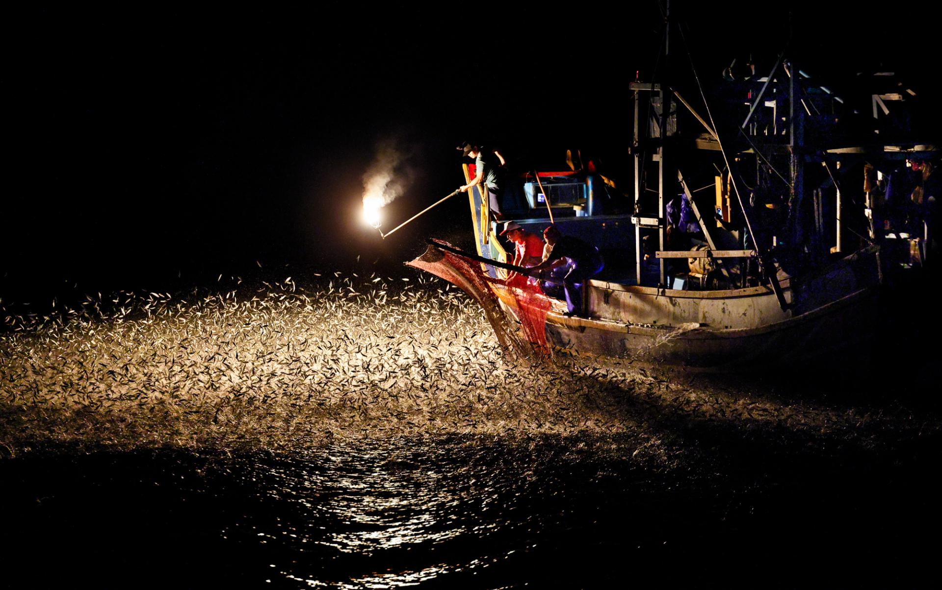 New York Photography Awards Winner - Ancient fishing