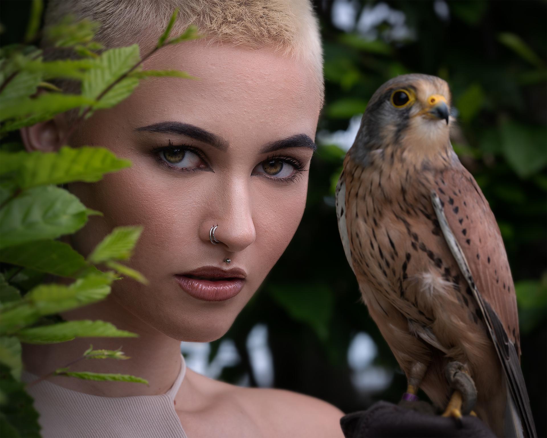 New York Photography Awards Winner - Hawk