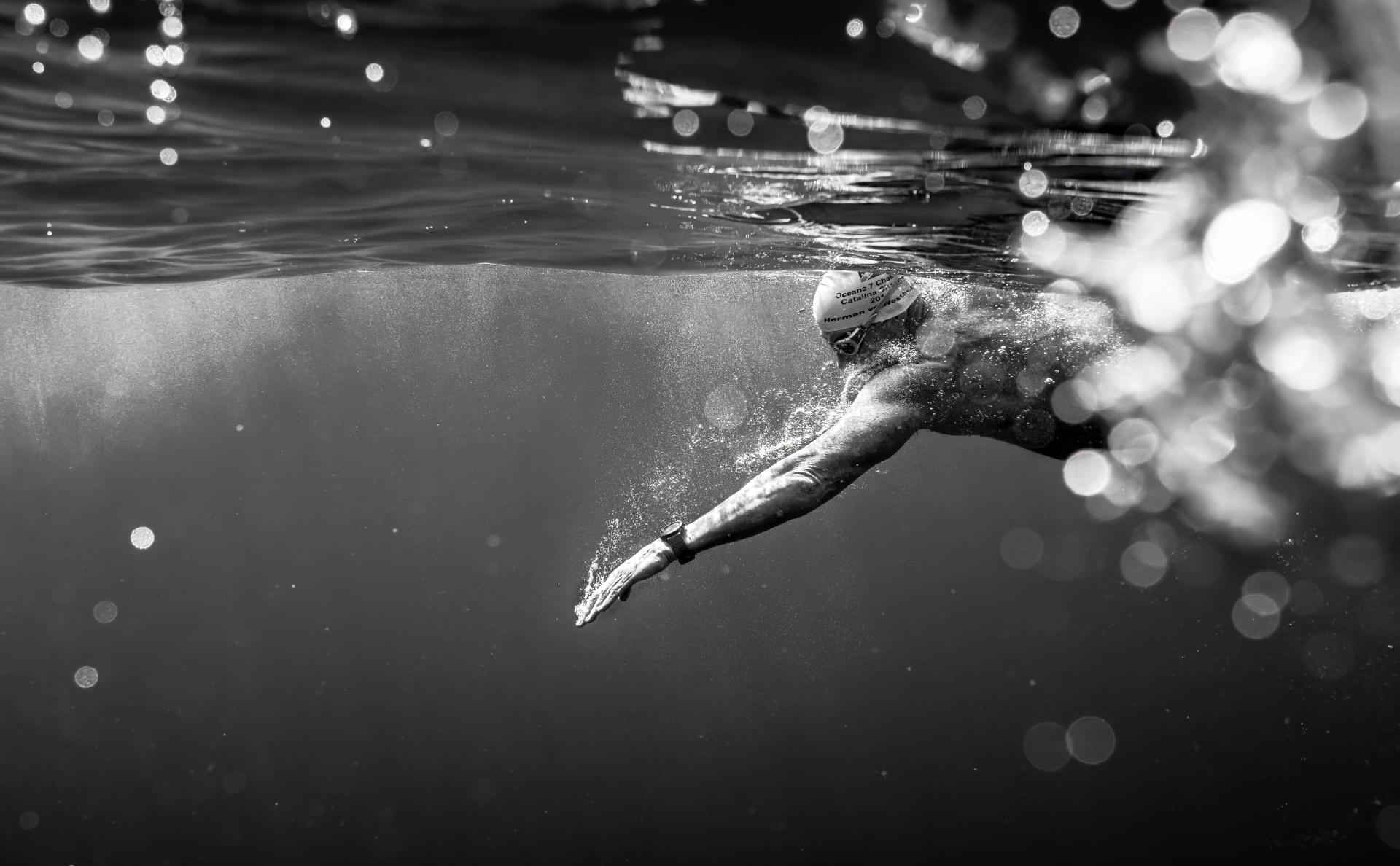 New York Photography Awards Winner - Stroke