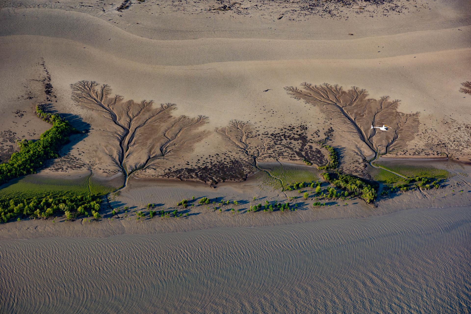 New York Photography Awards Winner - My Photographs