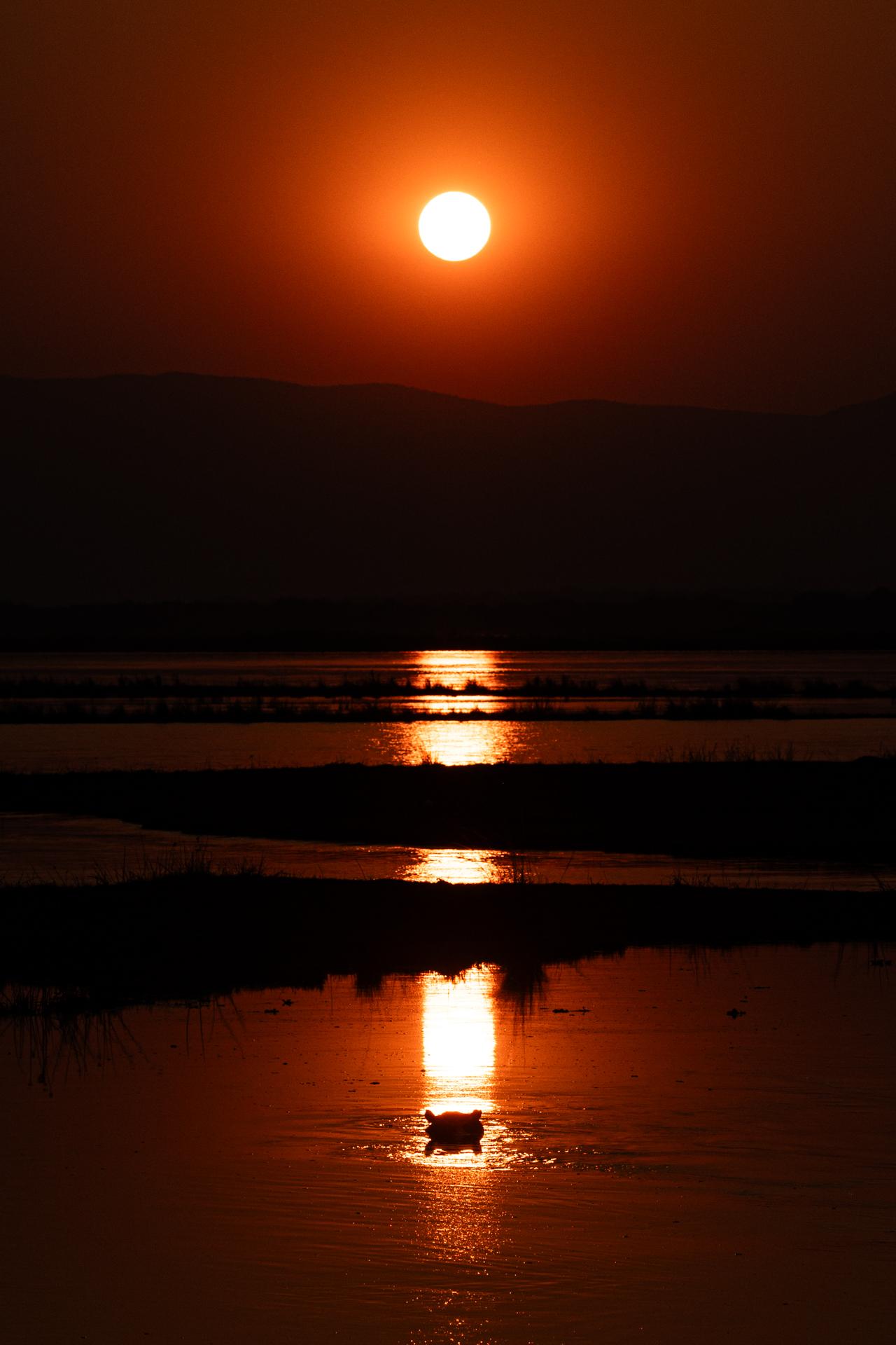 New York Photography Awards Winner - Basking In The Sun's Glow