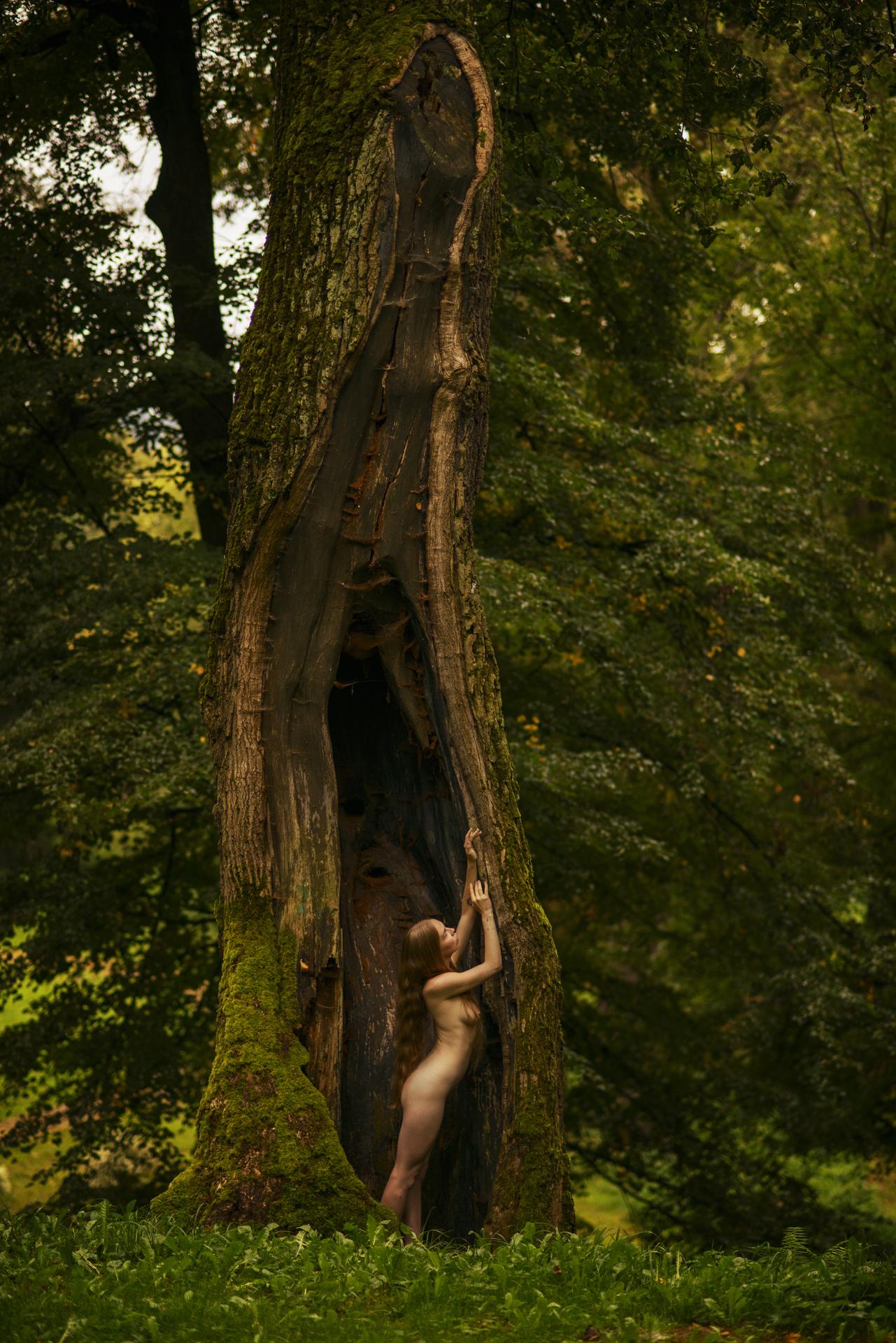 New York Photography Awards Winner - Carpathian demonology