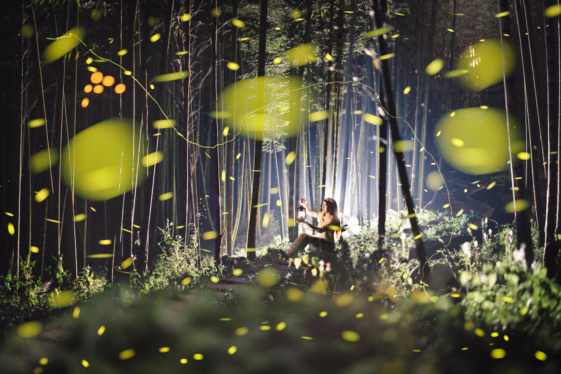 New York Photography Awards Winner - Midsummer night firefly
