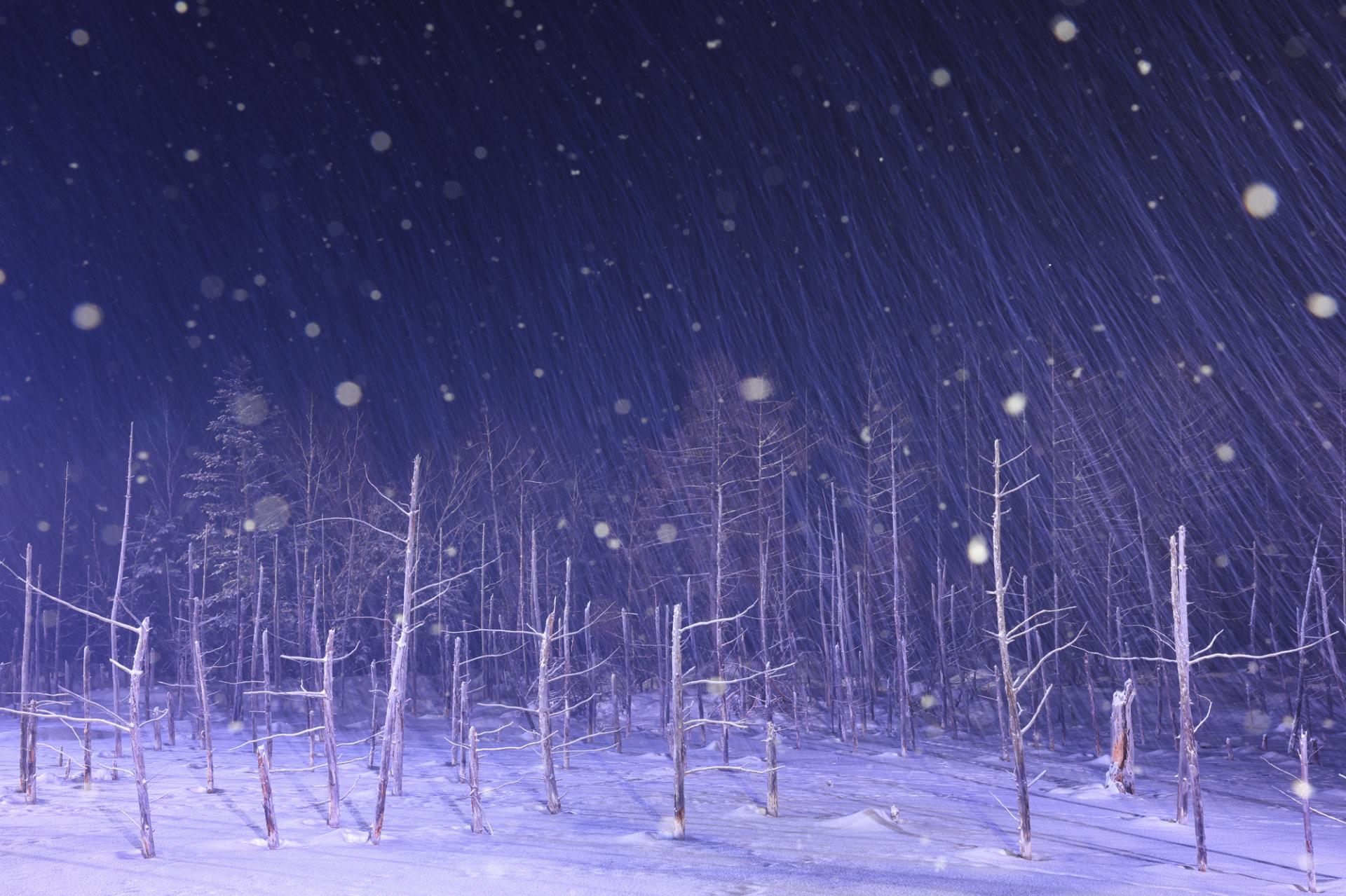 New York Photography Awards Winner - Dreamy scenery in japan