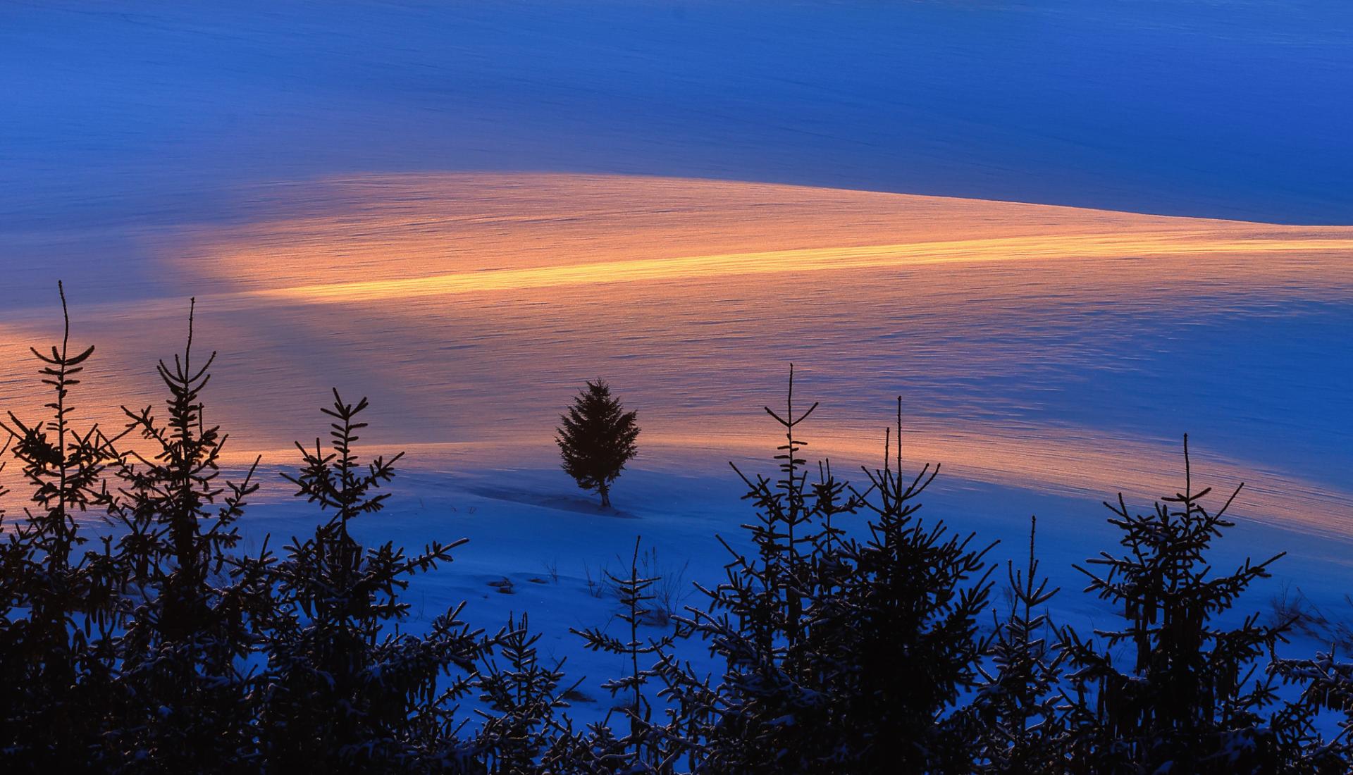 New York Photography Awards Winner - Dreamy scenery in japan