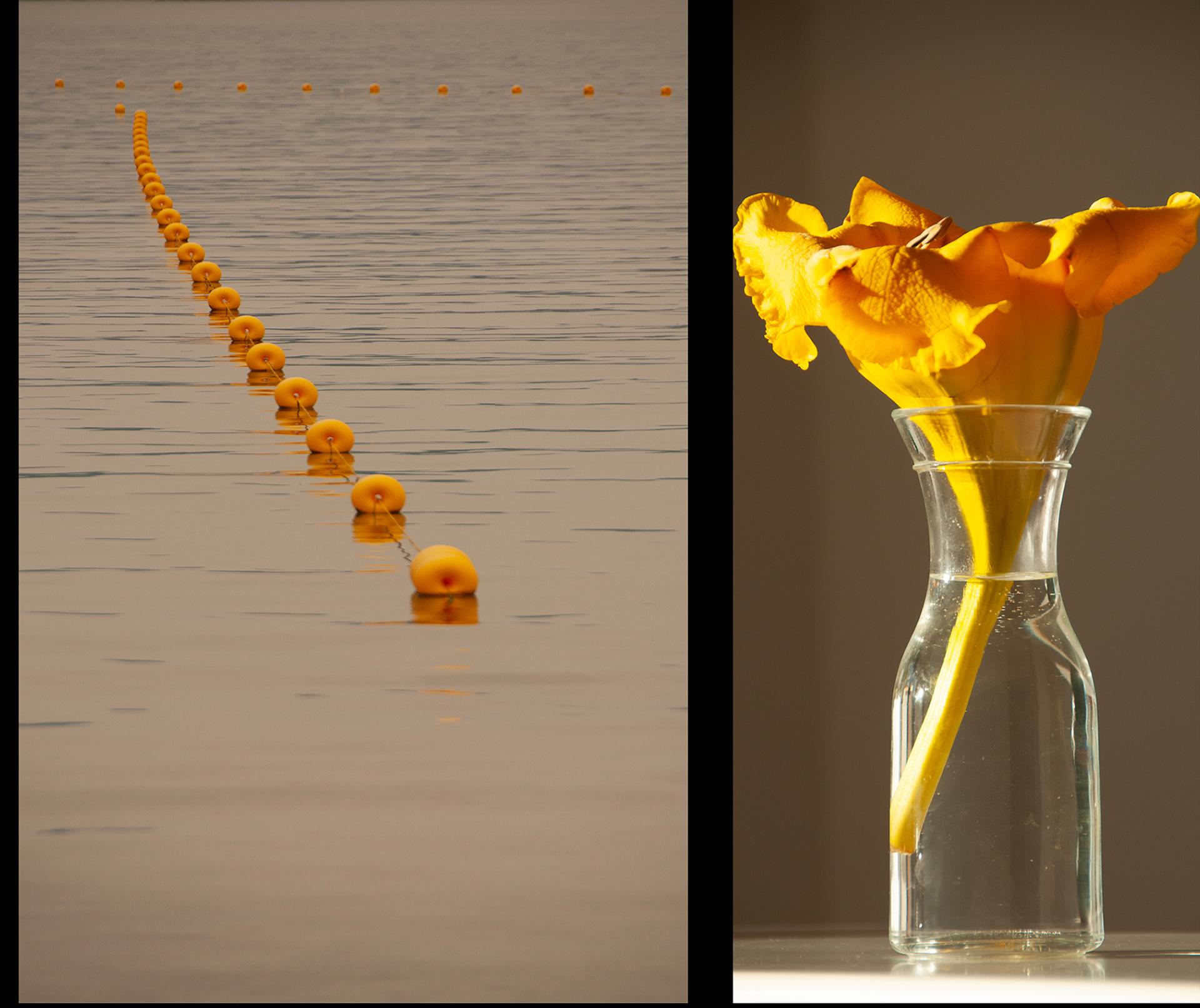 New York Photography Awards Winner - Subtle Connection