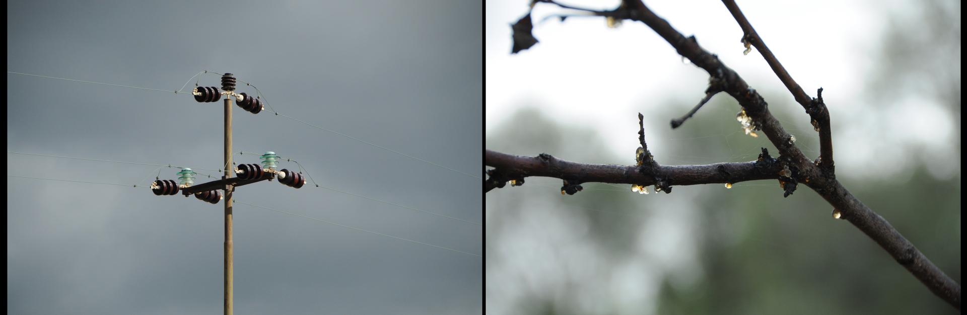 New York Photography Awards Winner - Subtle Connection
