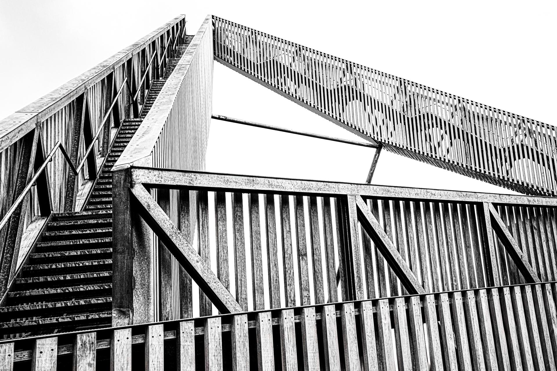 New York Photography Awards Winner - De Nieuwe Herdgang