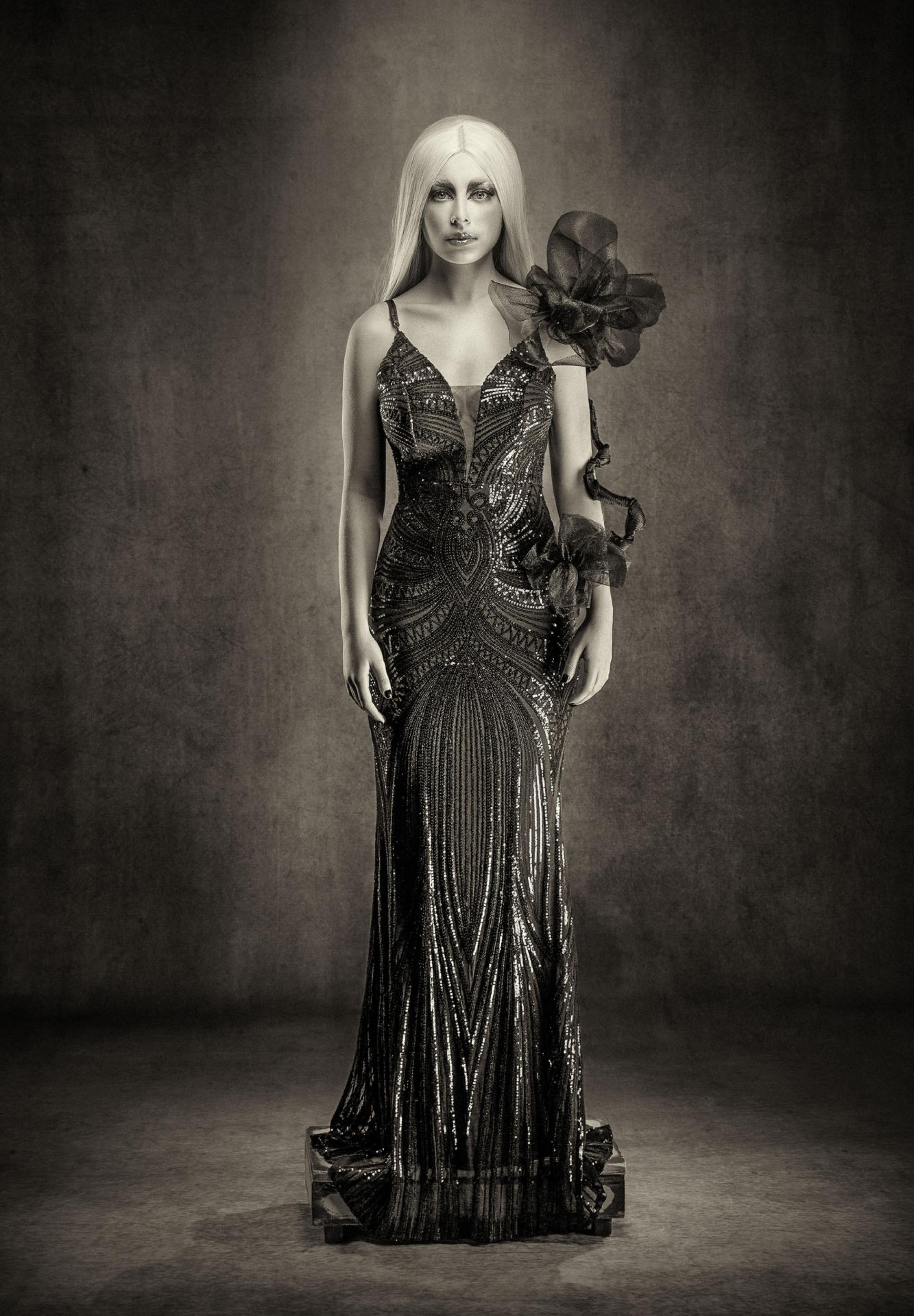 New York Photography Awards Winner - Elegancia Eterna