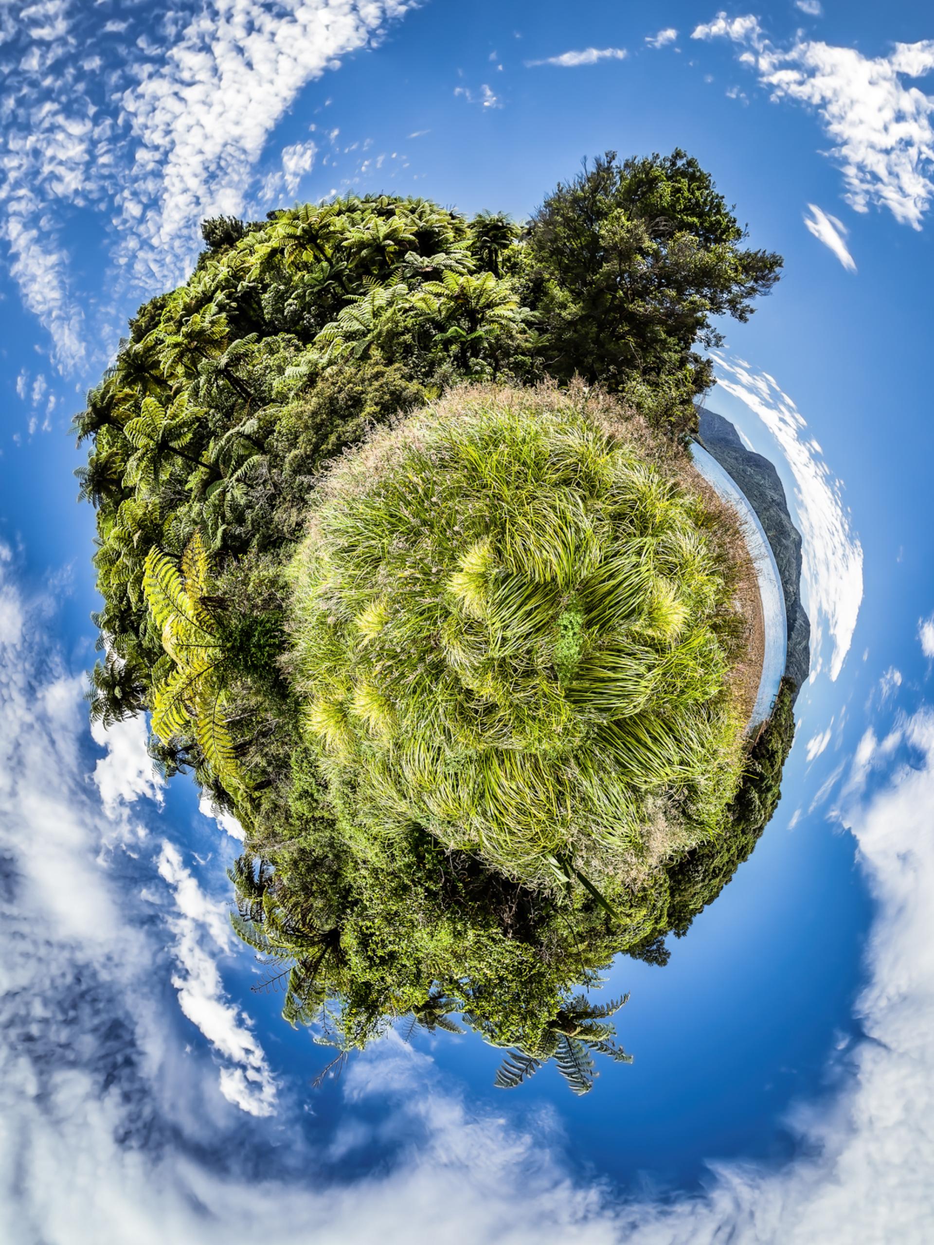New York Photography Awards Winner - What a Wonderful World
