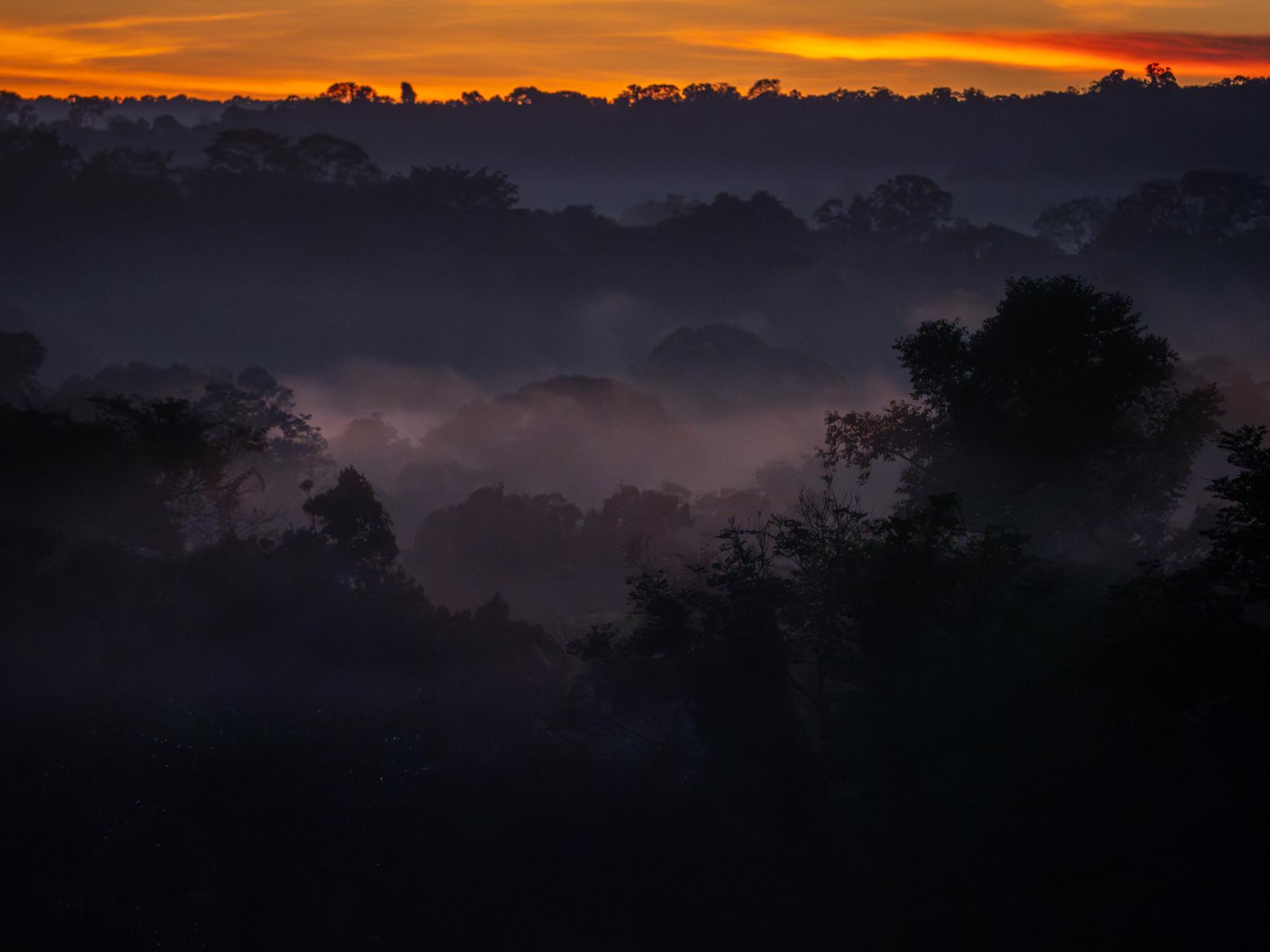 New York Photography Awards Winner - Awakening Eden: A Symphony of Light Over the Amazon