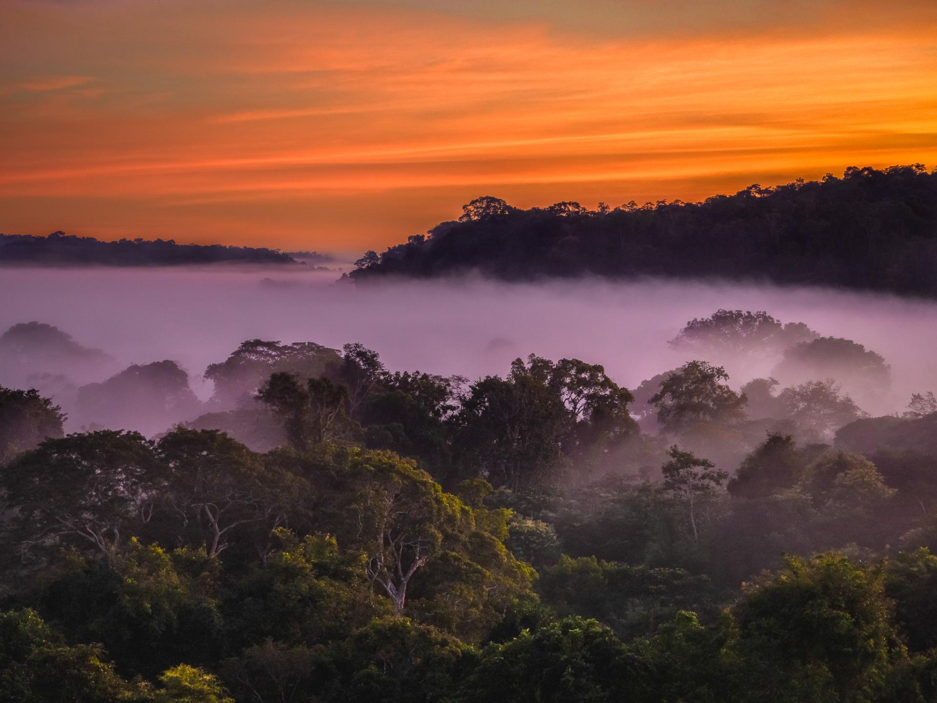 New York Photography Awards Winner - Awakening Eden: A Symphony of Light Over the Amazon