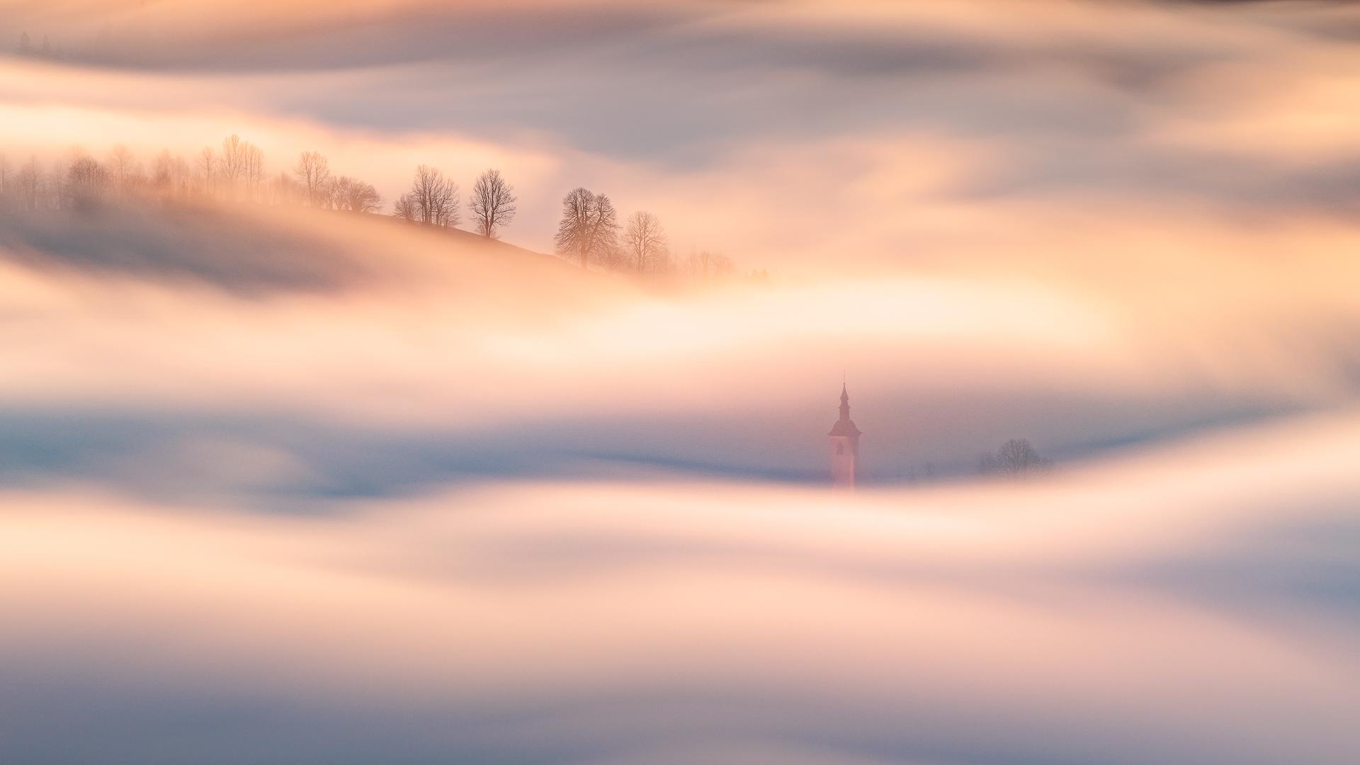 New York Photography Awards Winner - Golden Veil
