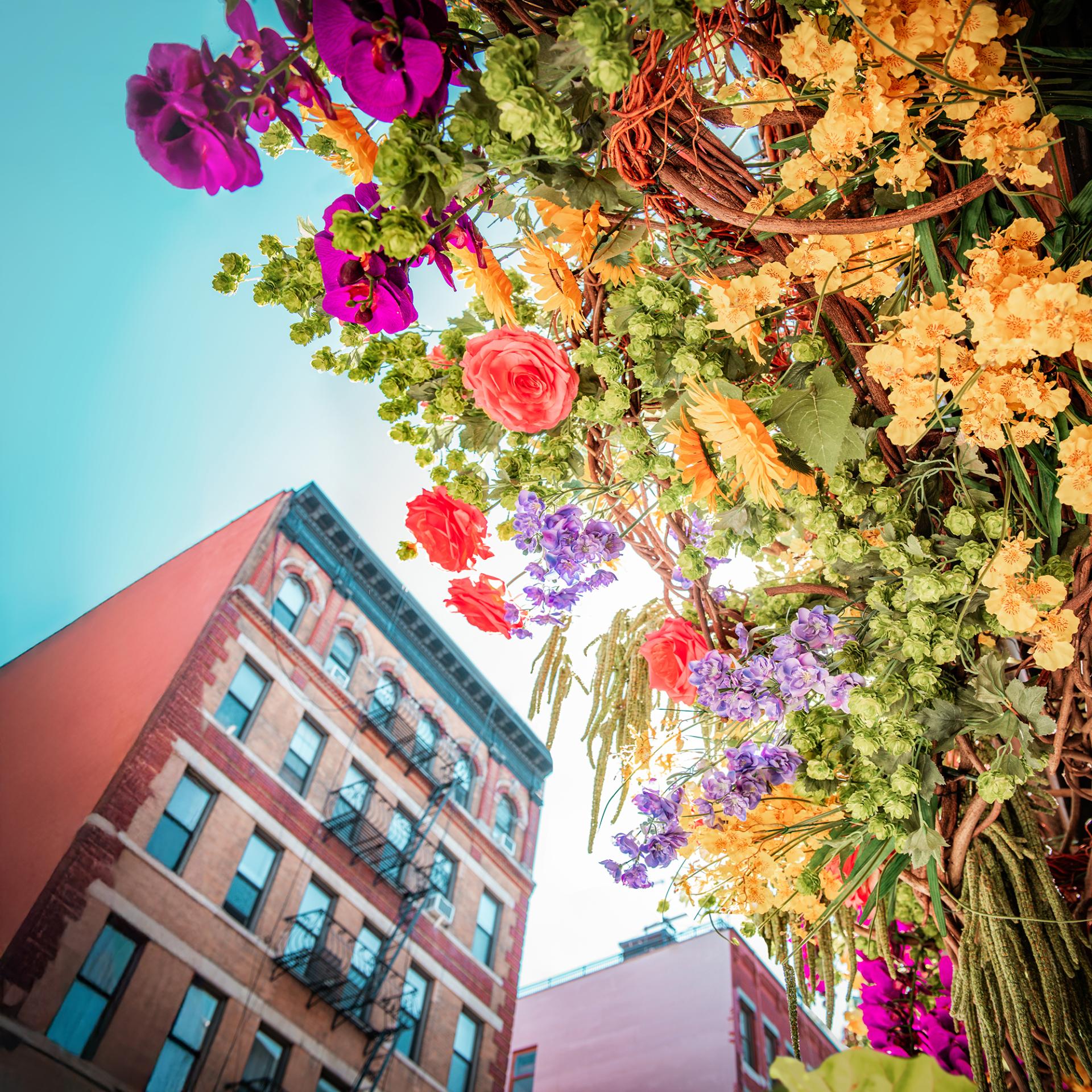 New York Photography Awards Winner - Charming Soho