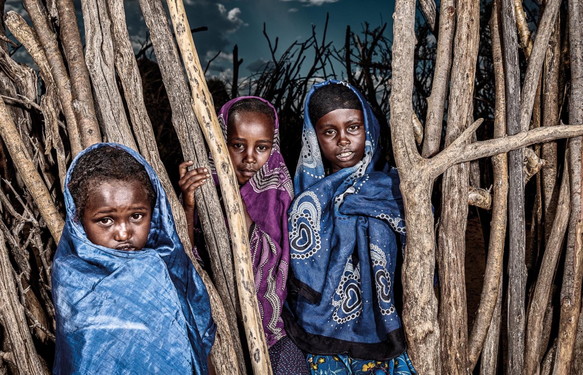 New York Photography Awards Winner - Very best Friends