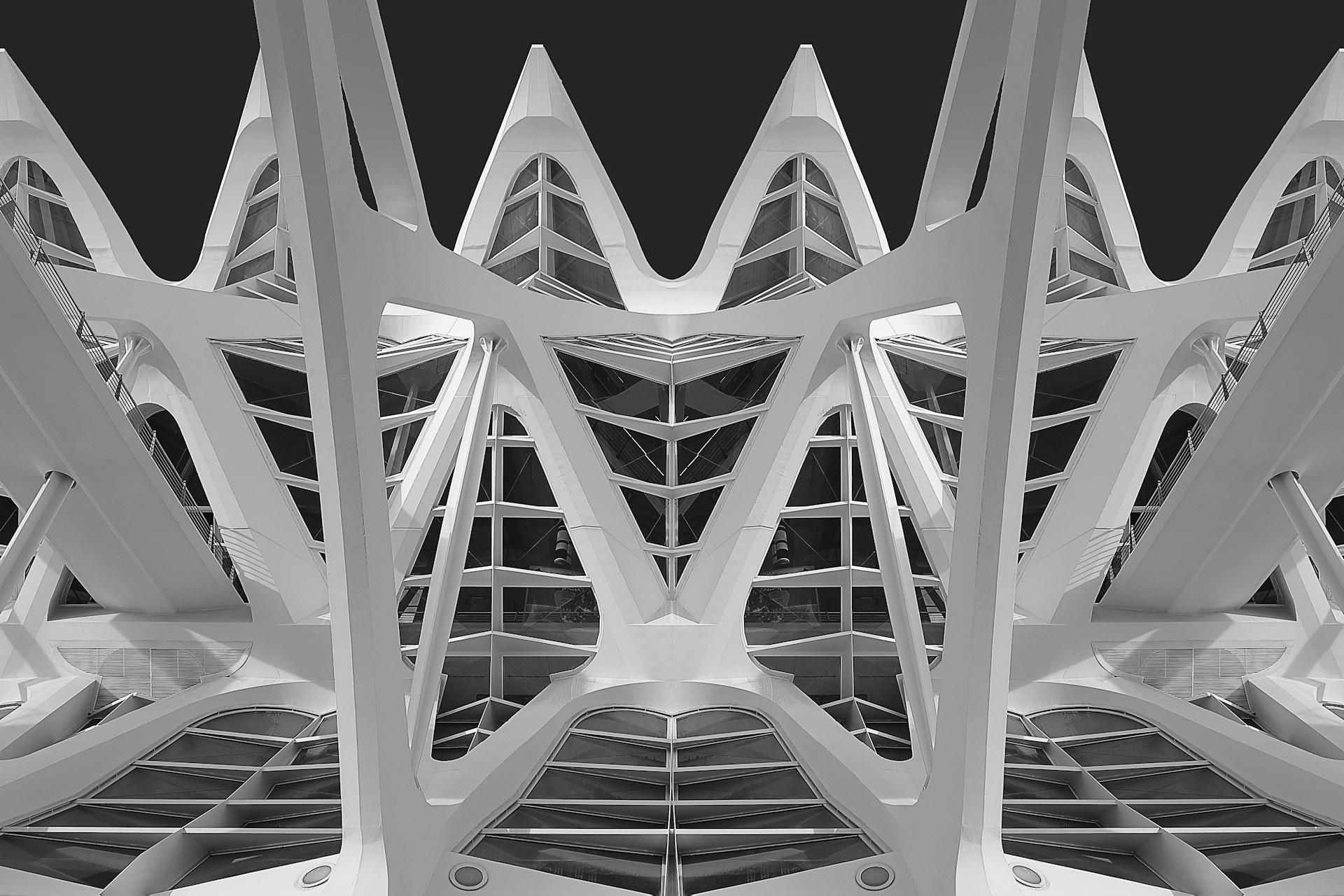 New York Photography Awards Winner - Museo de las Ciències Príncep Felip