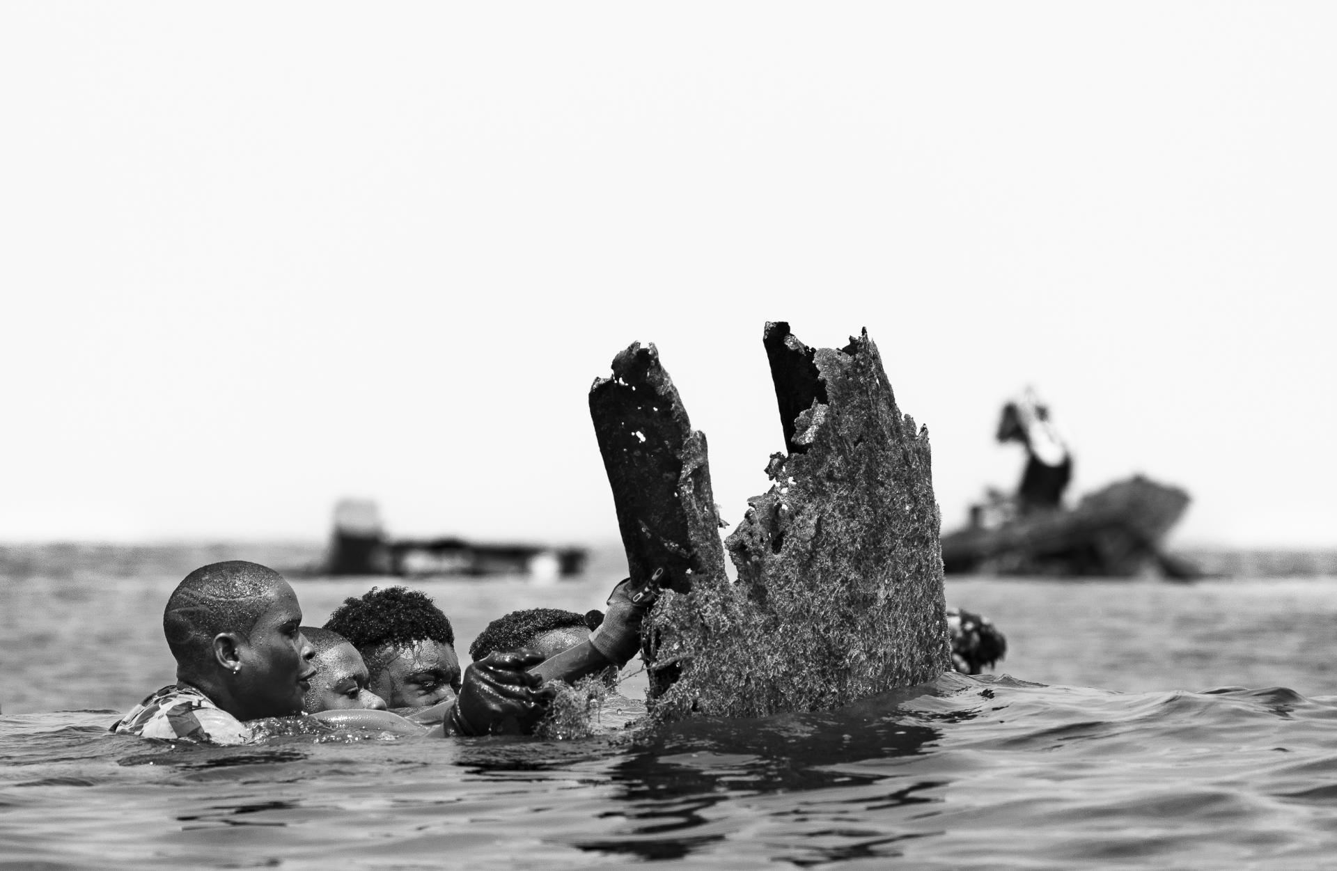 New York Photography Awards Winner - Taming a Giant