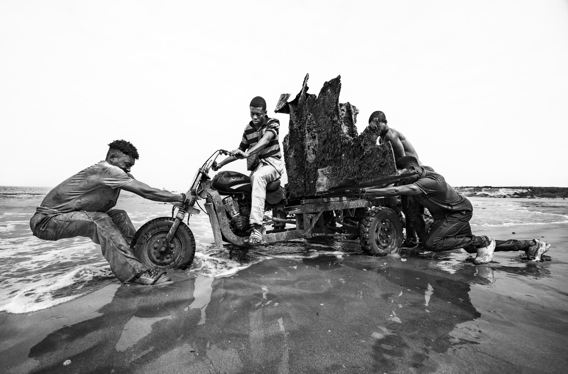New York Photography Awards Winner - Taming a Giant