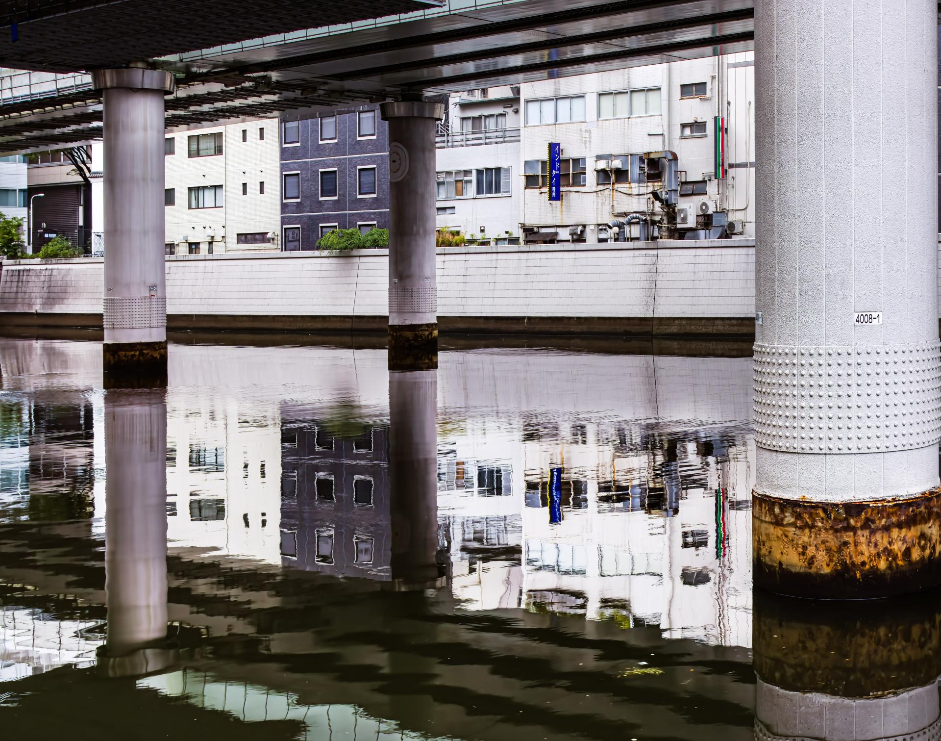 New York Photography Awards Winner - Edo Bridge