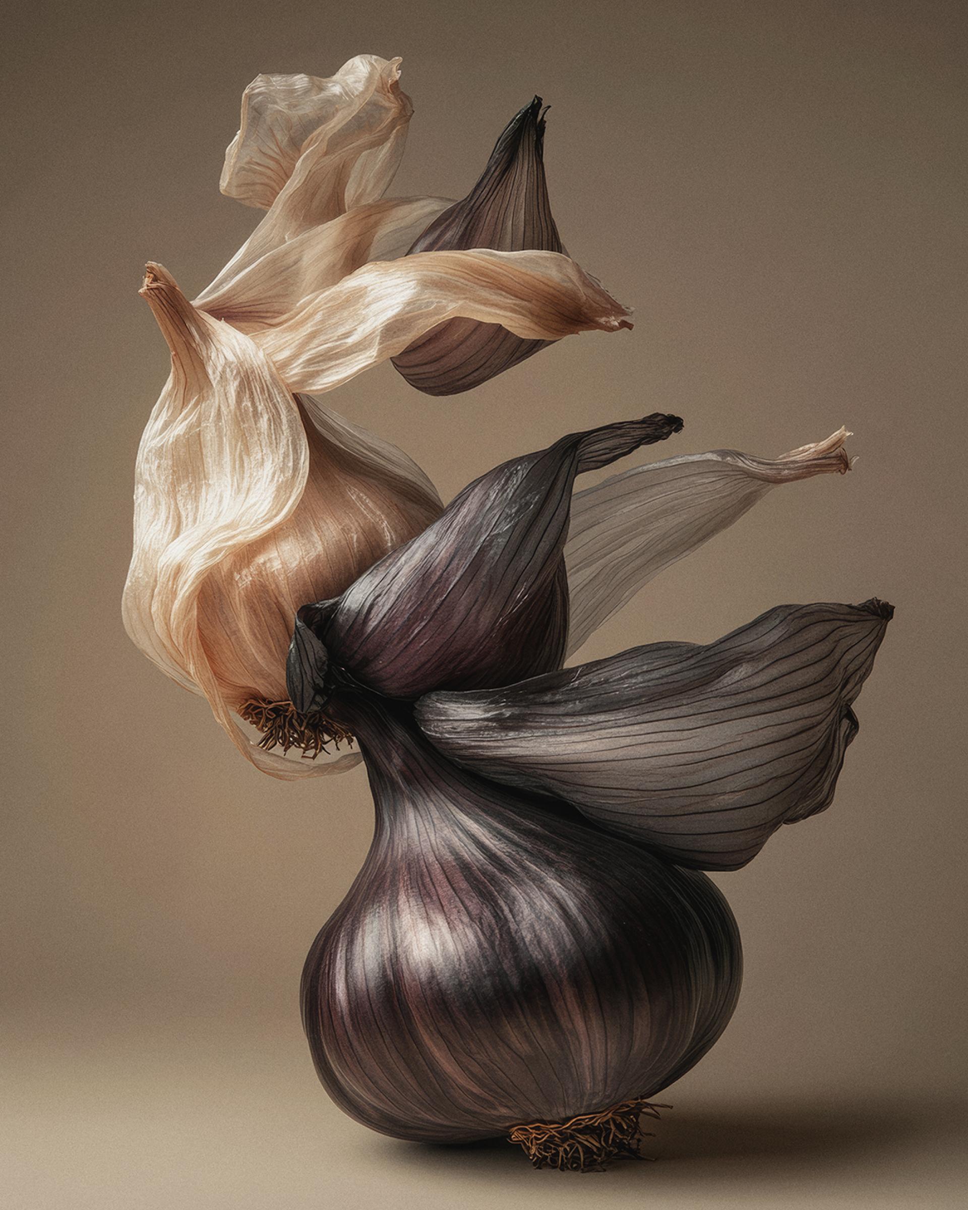 New York Photography Awards Winner - The Harvest