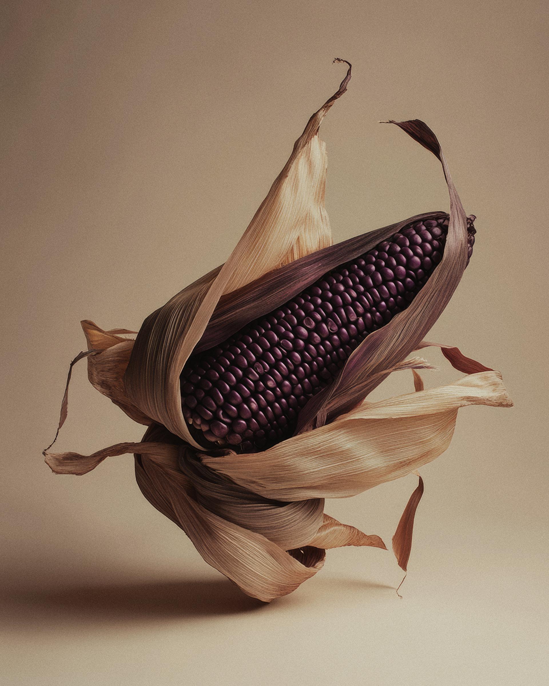New York Photography Awards Winner - The Harvest