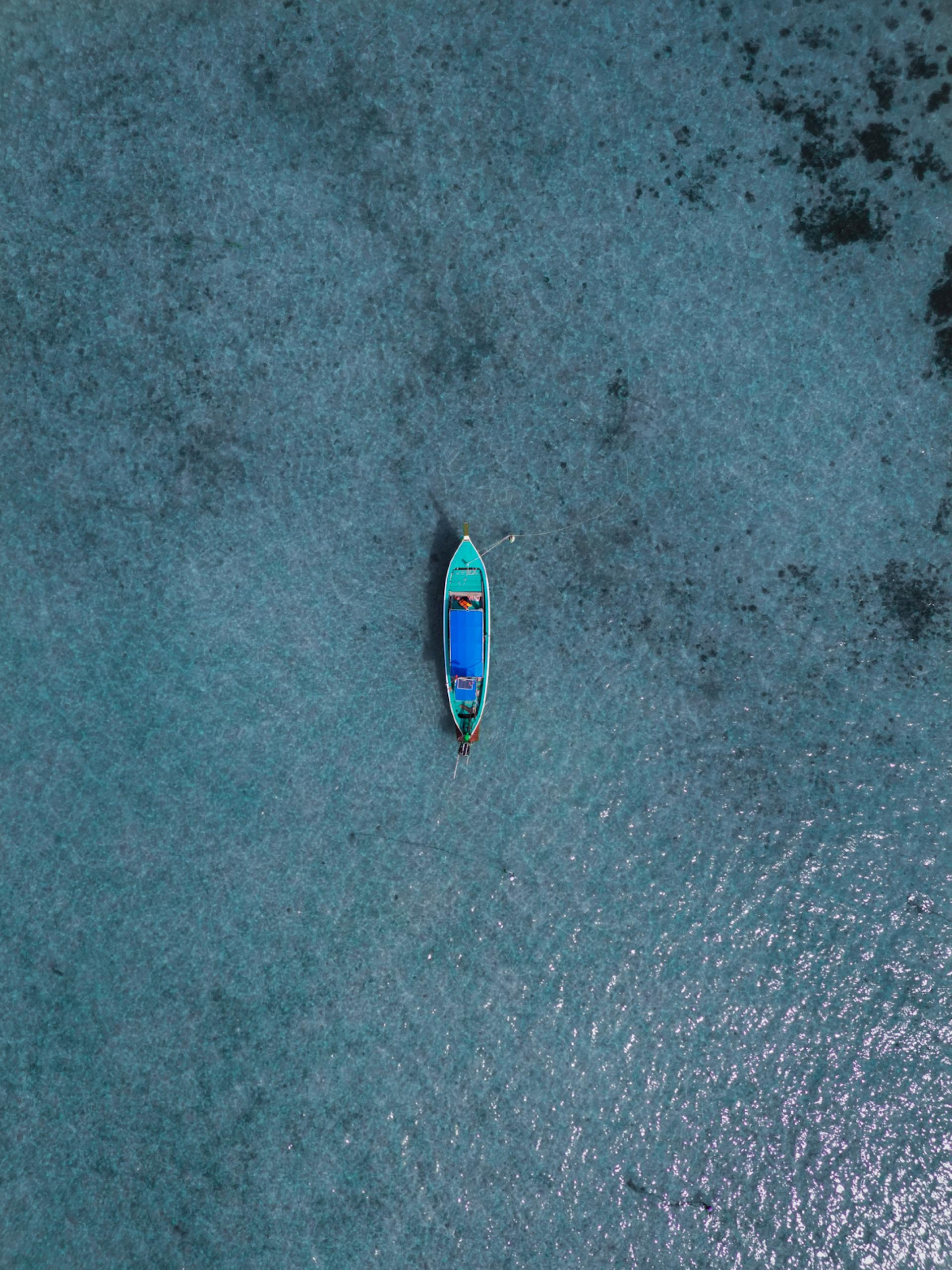 New York Photography Awards Winner - Beauty from above