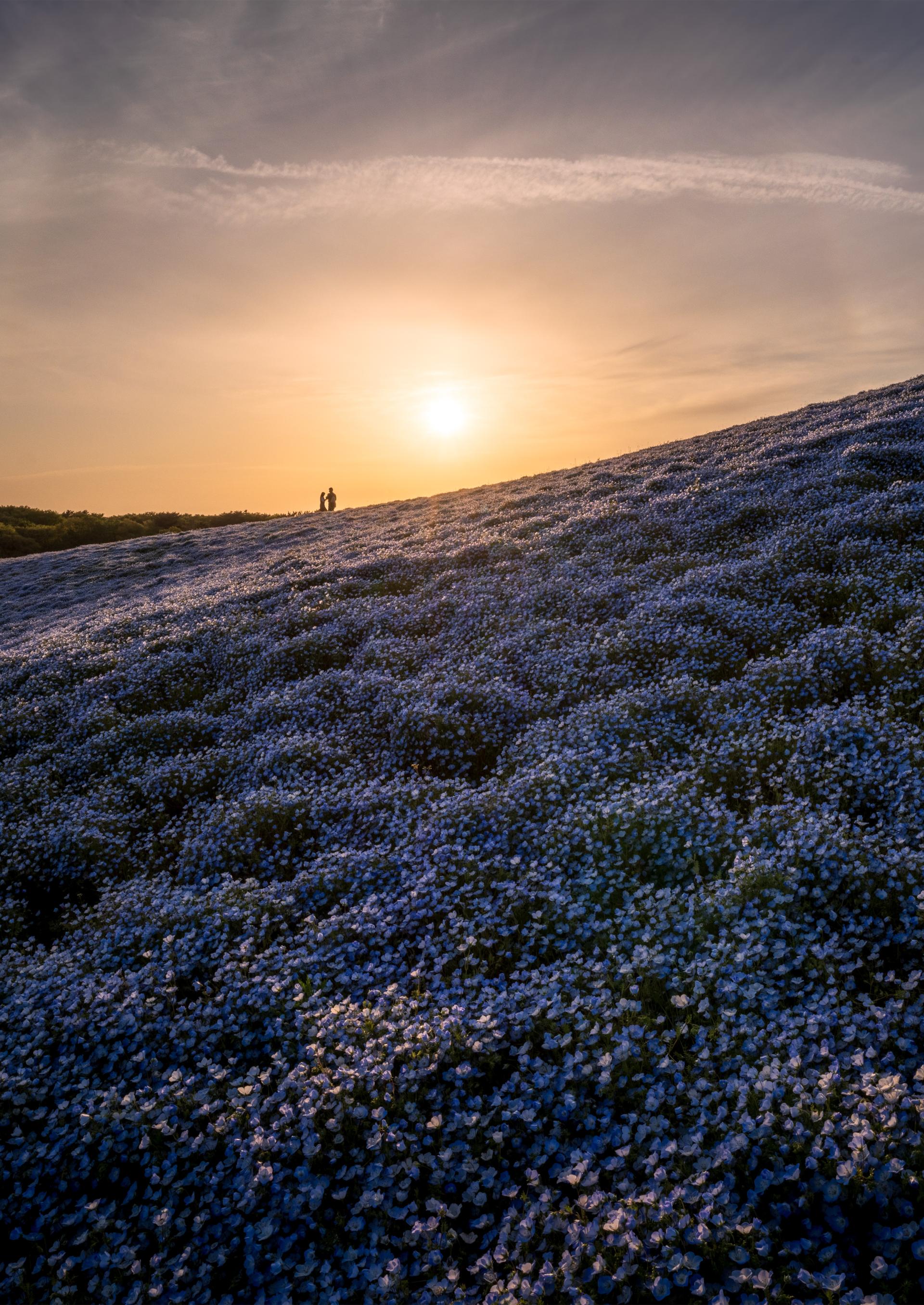 New York Photography Awards Winner - A Love Story on the Everlasting Hills