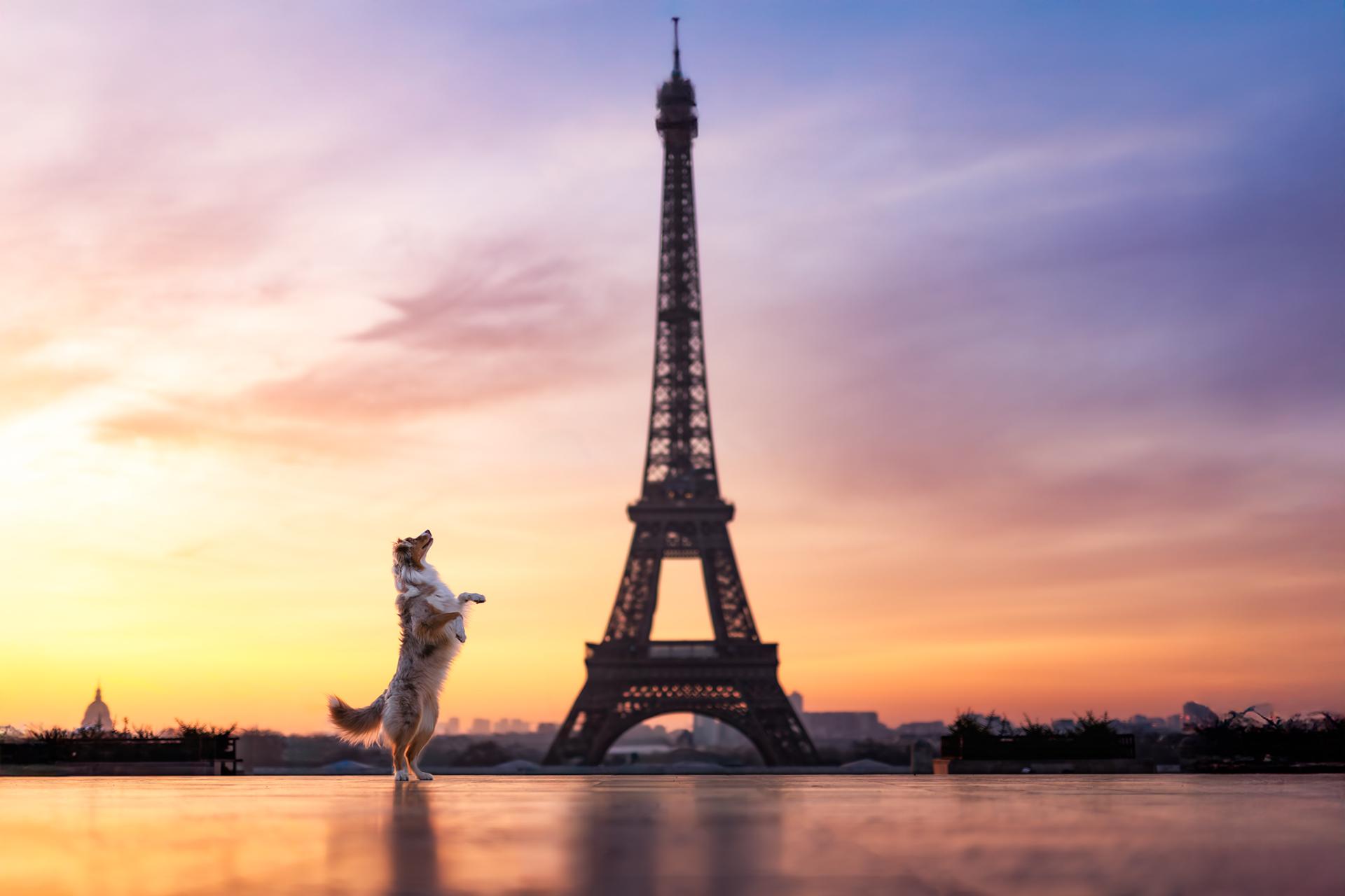 New York Photography Awards Winner - Beautiful World at Sunrise