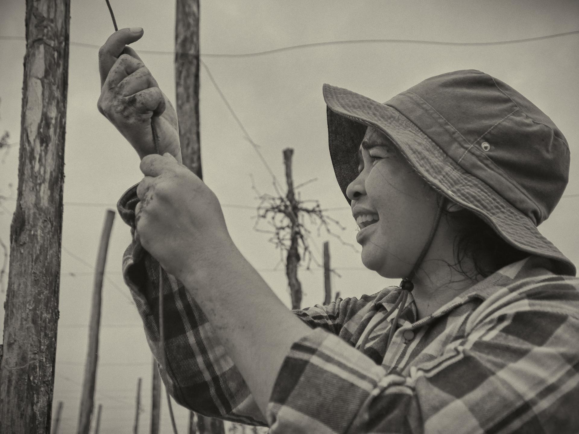 New York Photography Awards Winner - Kampot pepper fields and family