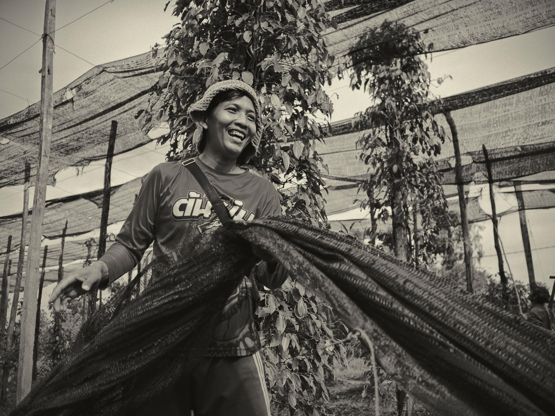 New York Photography Awards Winner - Kampot pepper fields and family