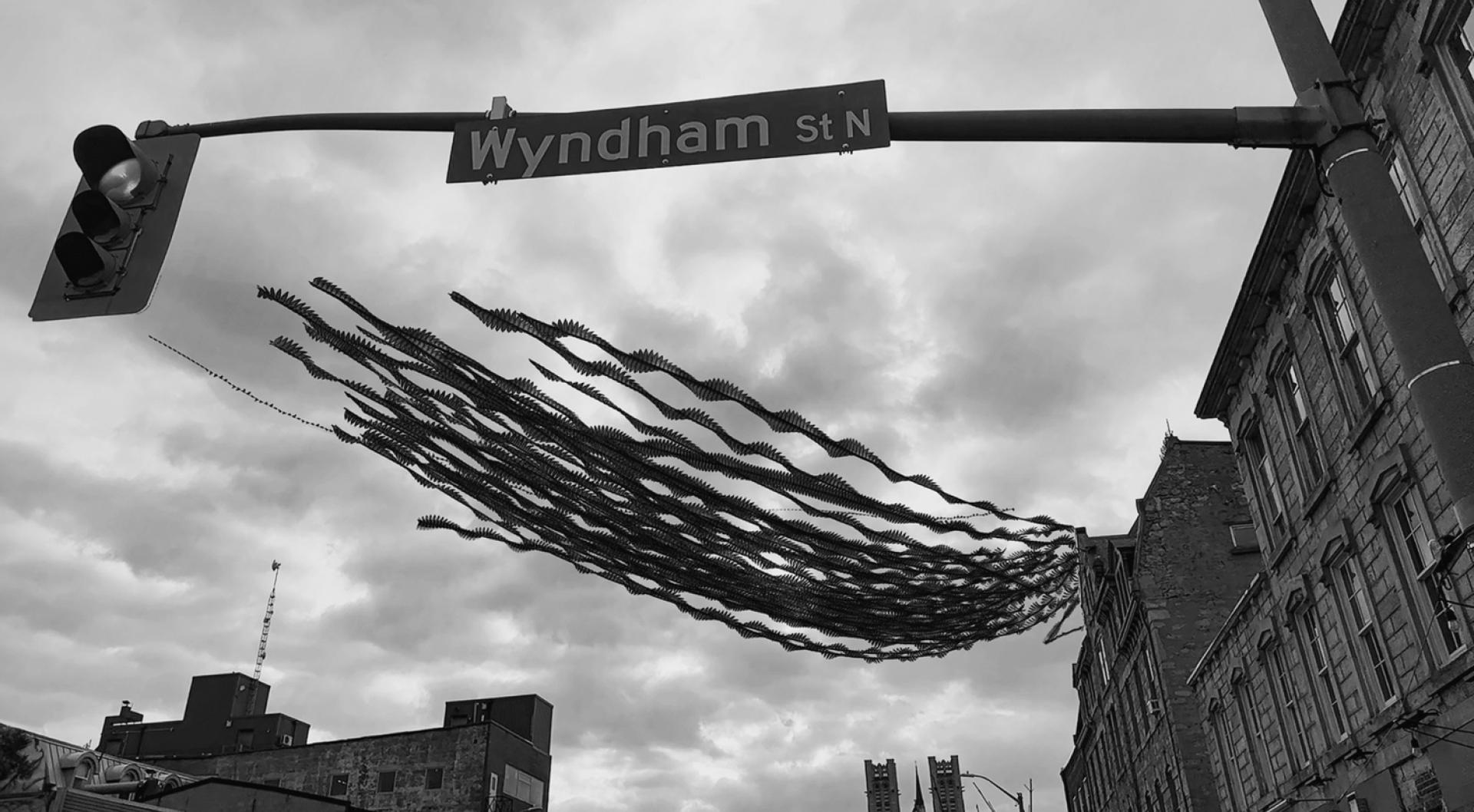 New York Photography Awards Winner - Wings Over Concrete