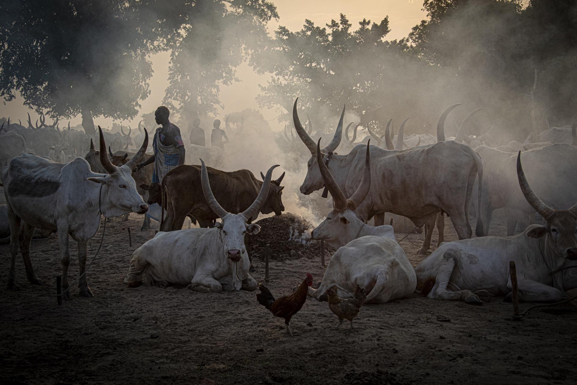 New York Photography Awards Winner - Mundari culture
