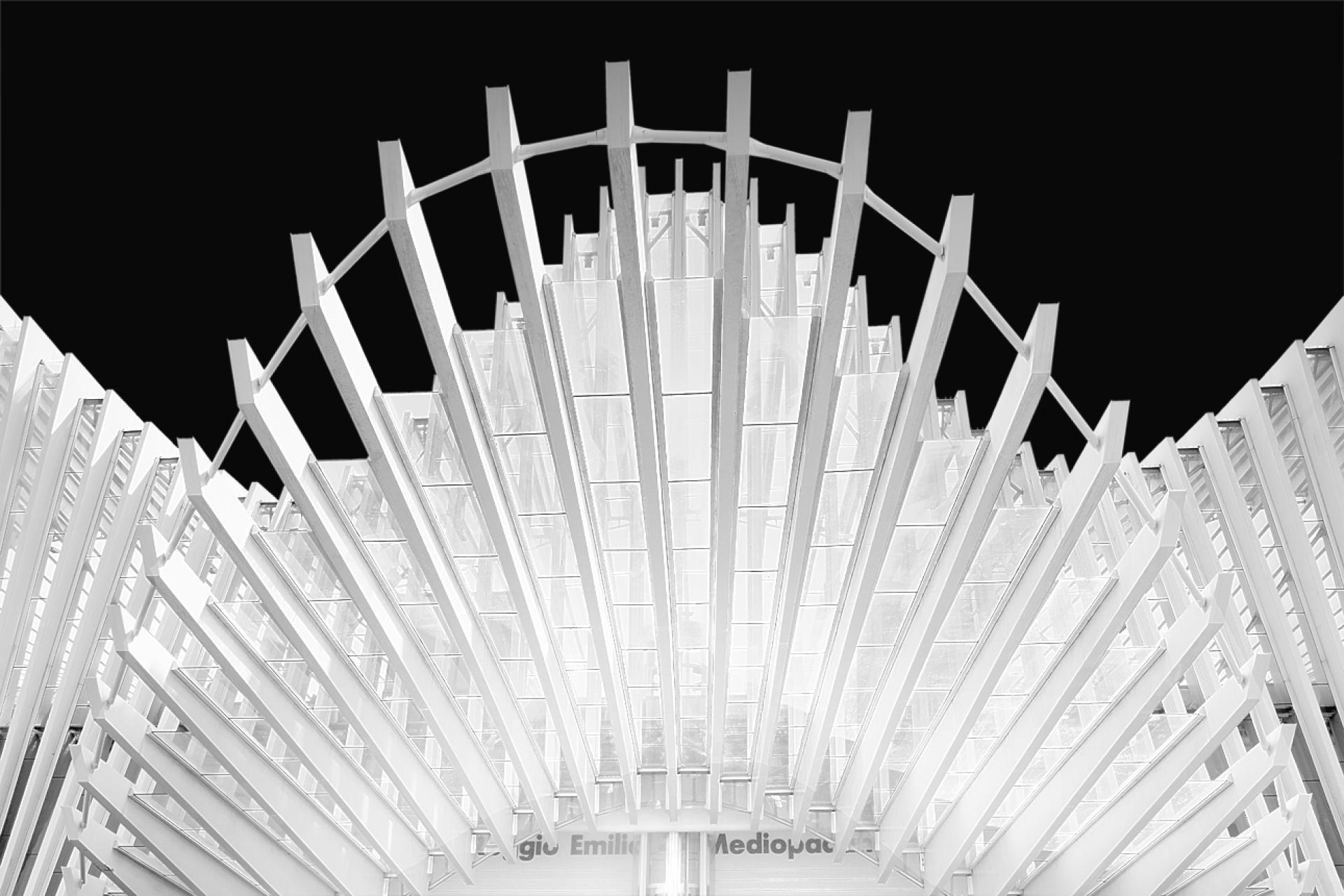 New York Photography Awards Winner - MEDIOPADANA