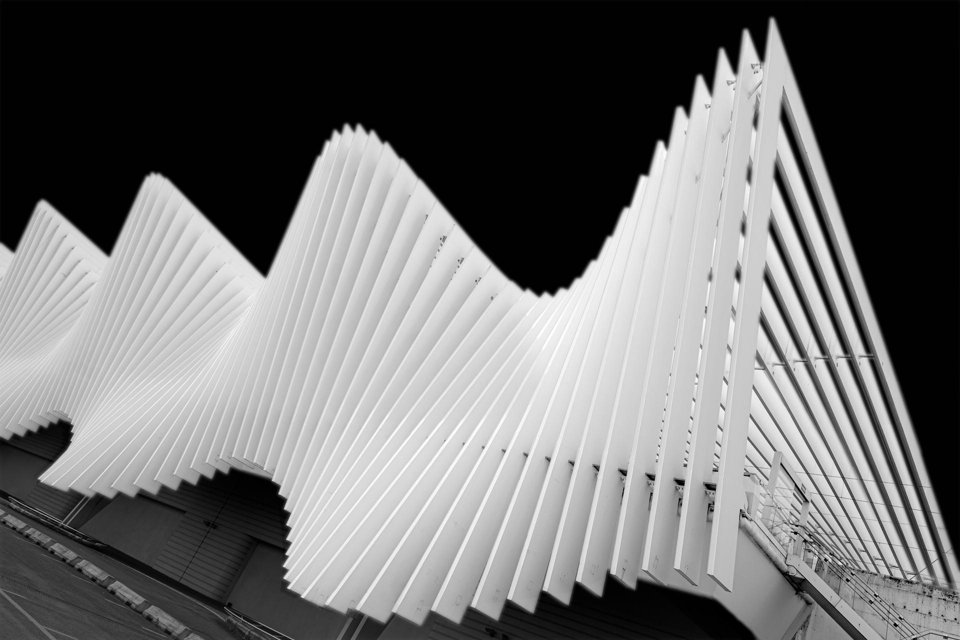 New York Photography Awards Winner - MEDIOPADANA