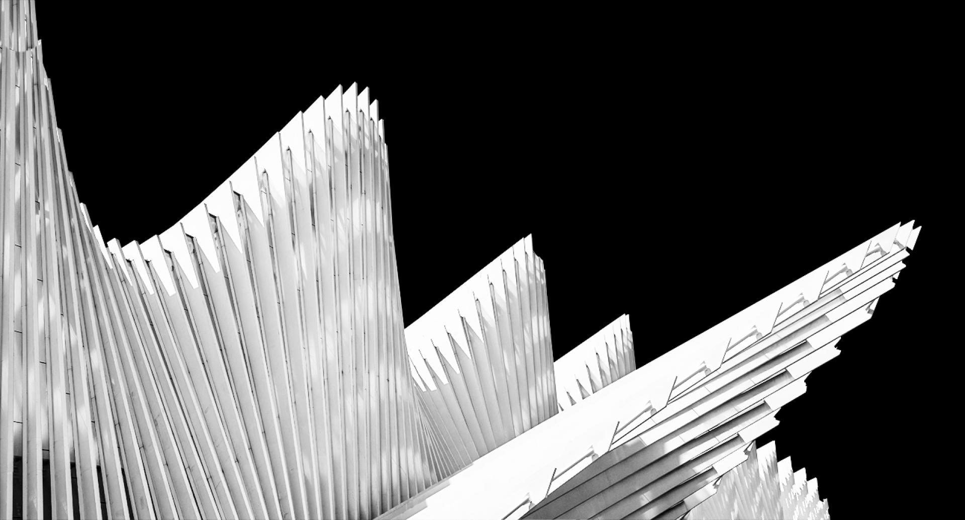New York Photography Awards Winner - MEDIOPADANA