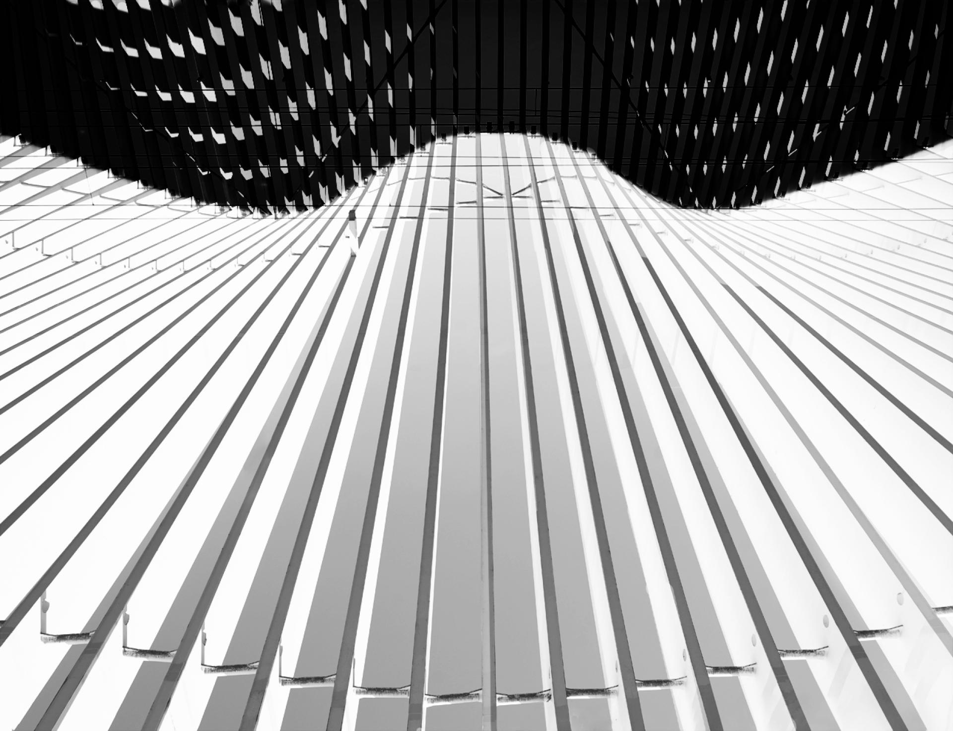 New York Photography Awards Winner - MEDIOPADANA