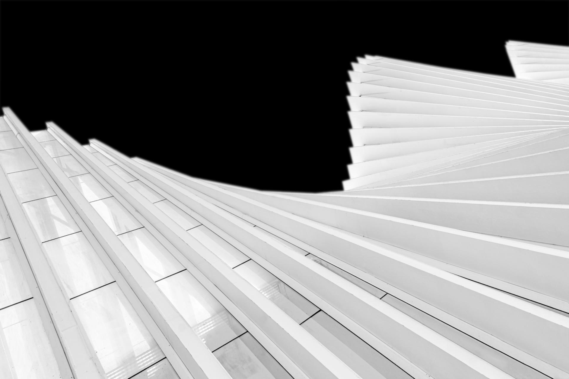 New York Photography Awards Winner - MEDIOPADANA
